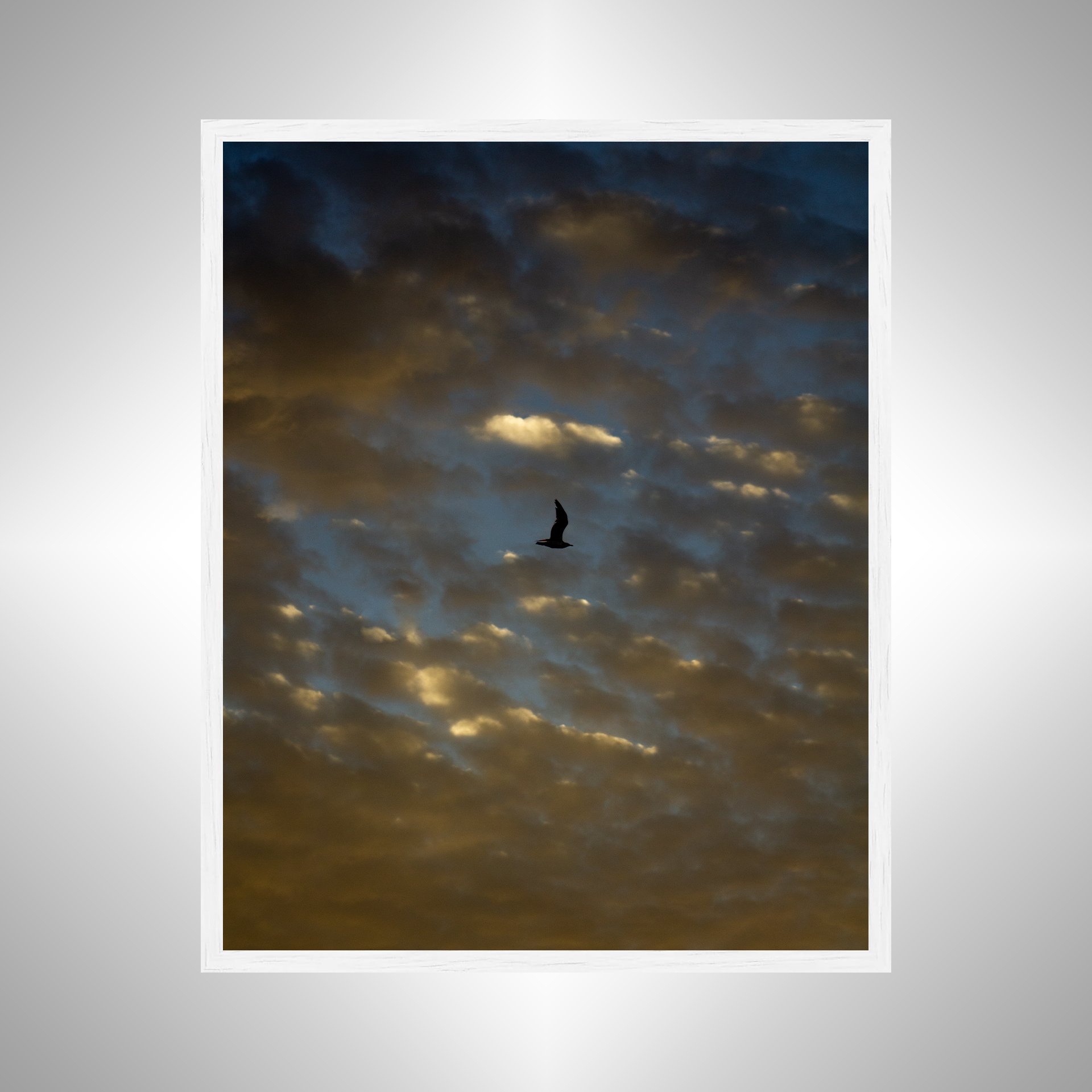 1:1 Golden Blue Cloudy Skies & Seagull- White Wood.jpg