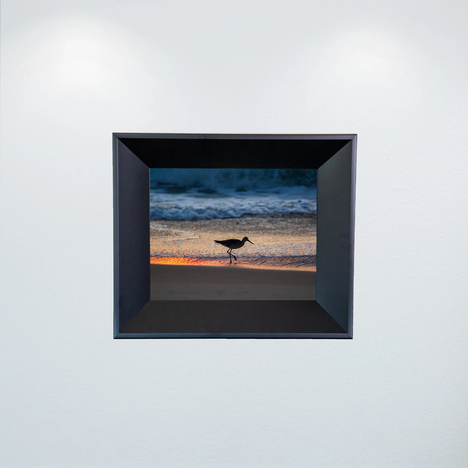 1:1 Willet Step- Mini.jpg