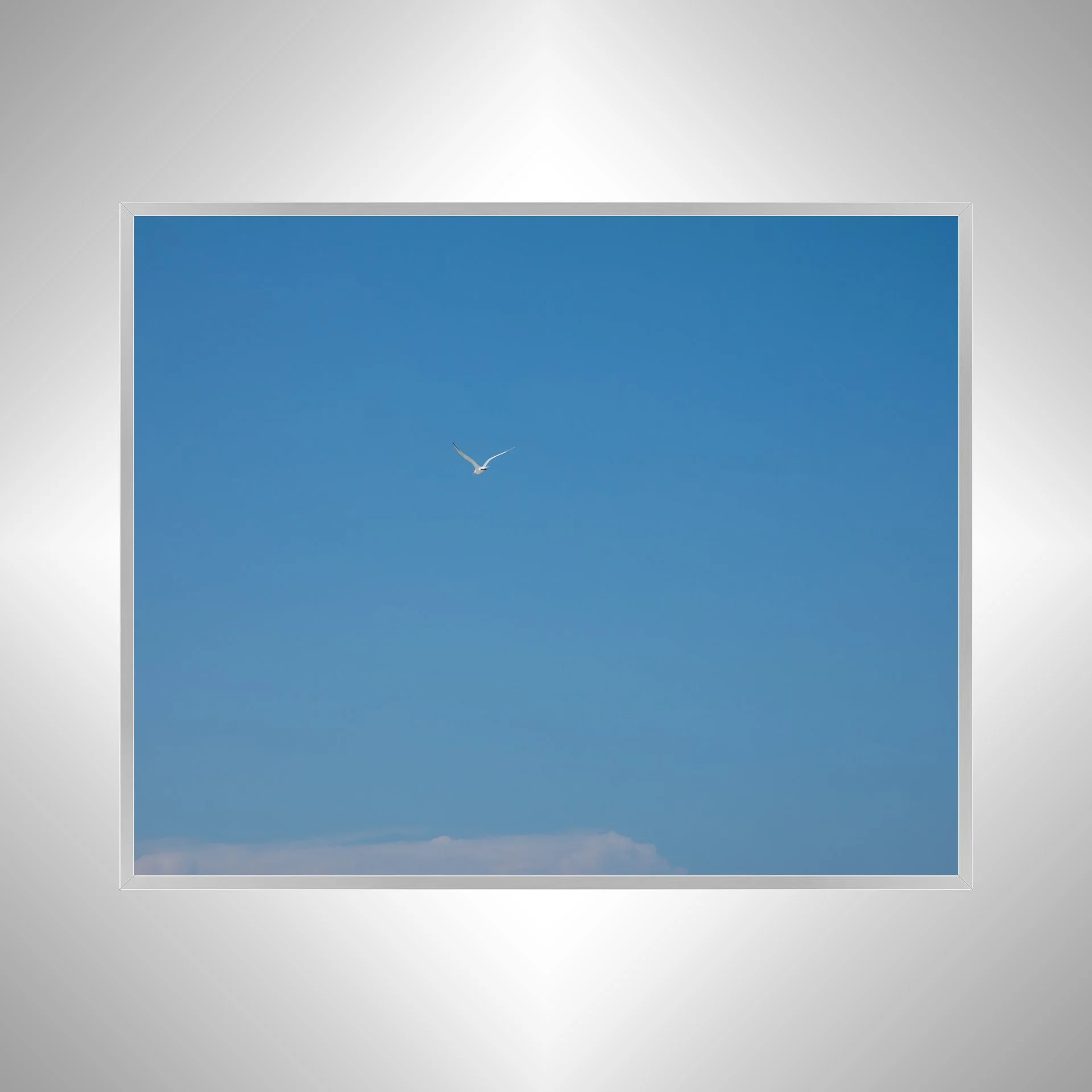 1:10 Seagull Flying Away- Silver.jpg
