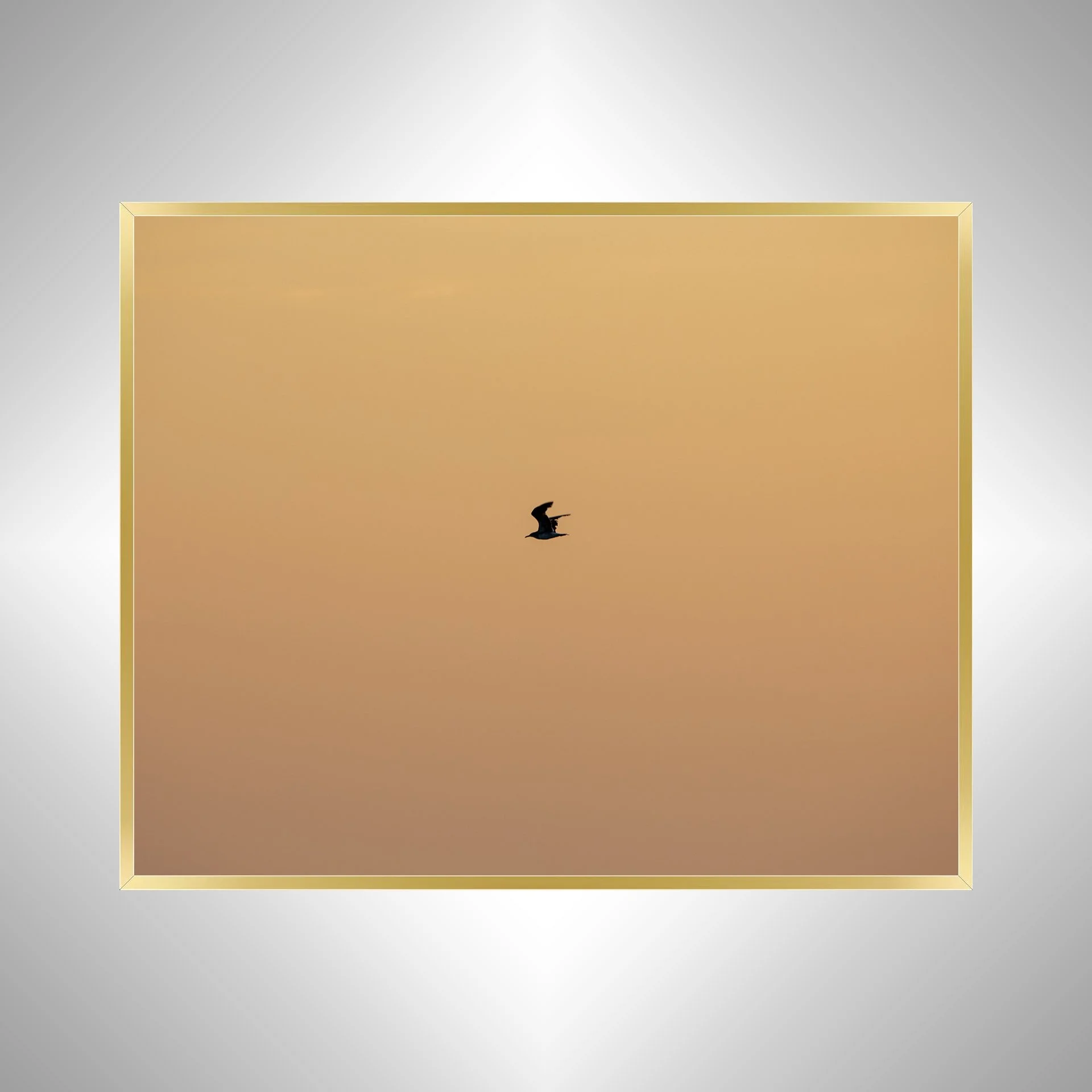 1:10 Orange Side Glider in Duck, NC- Gold.jpg