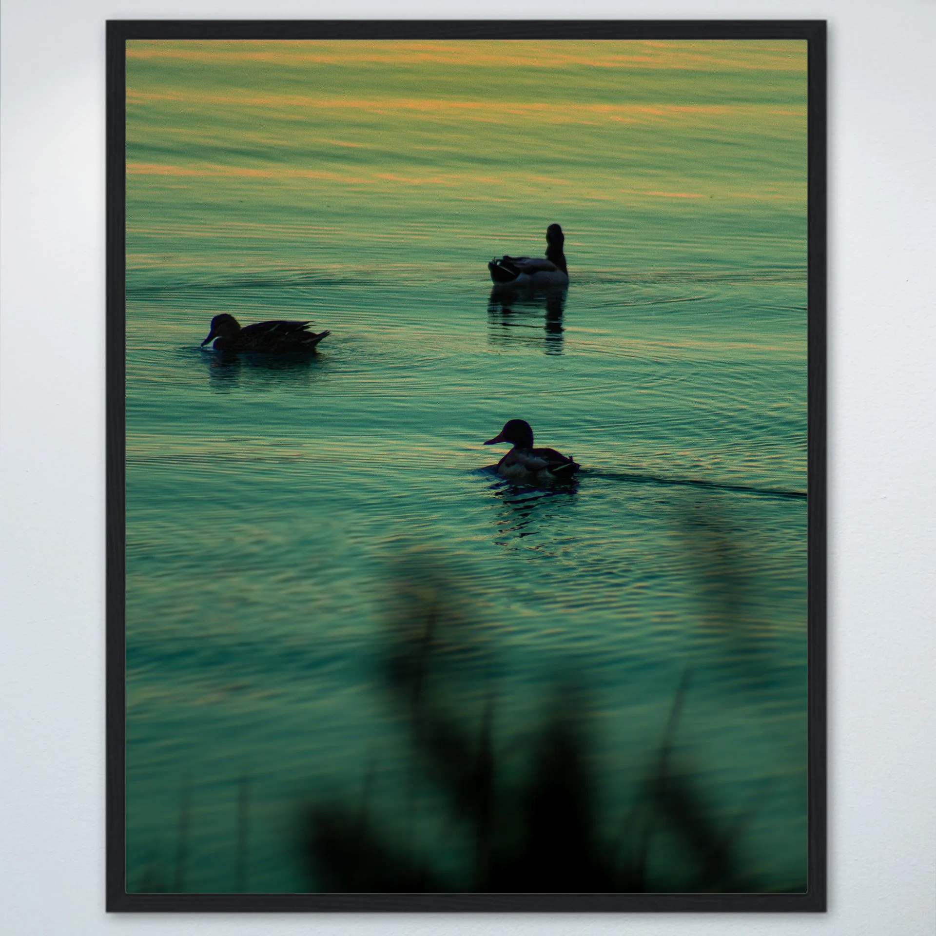 1:1 Duck Family Swimming towards Sunset- Wood.jpg