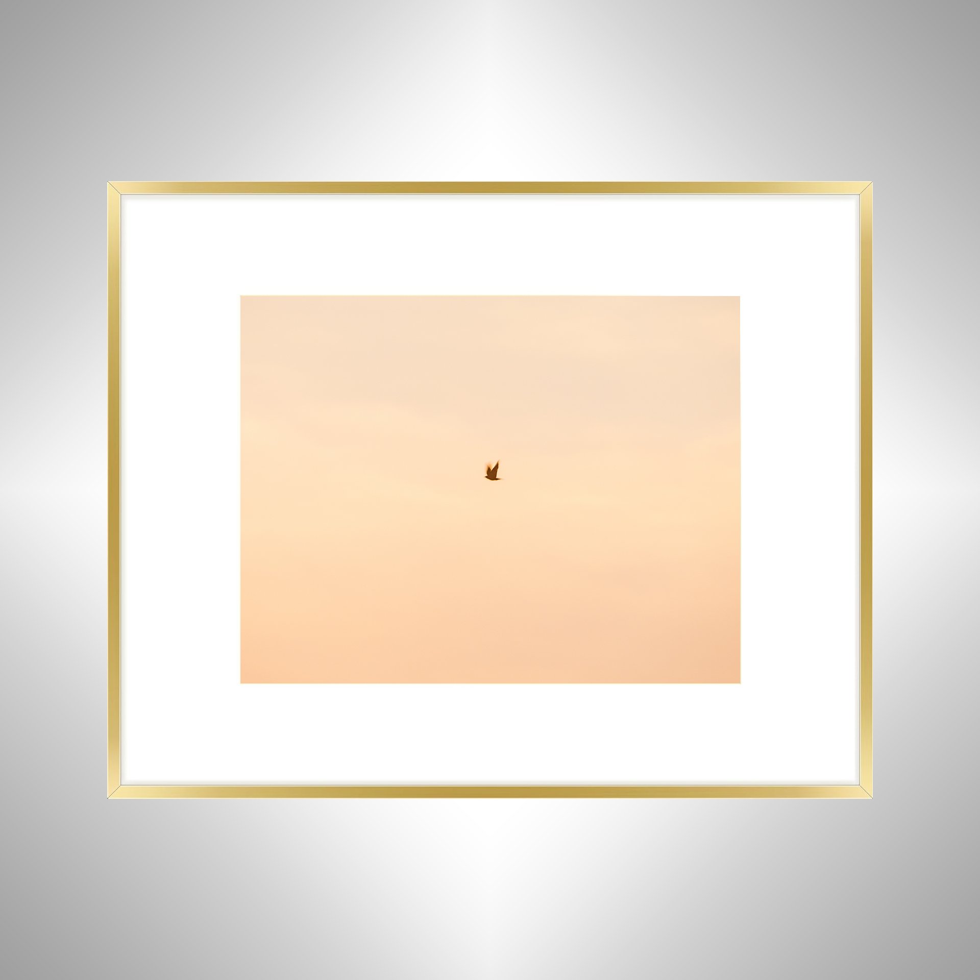 1:1 Slow Shutter Sunrise Seagull- Gold w: Border.jpg