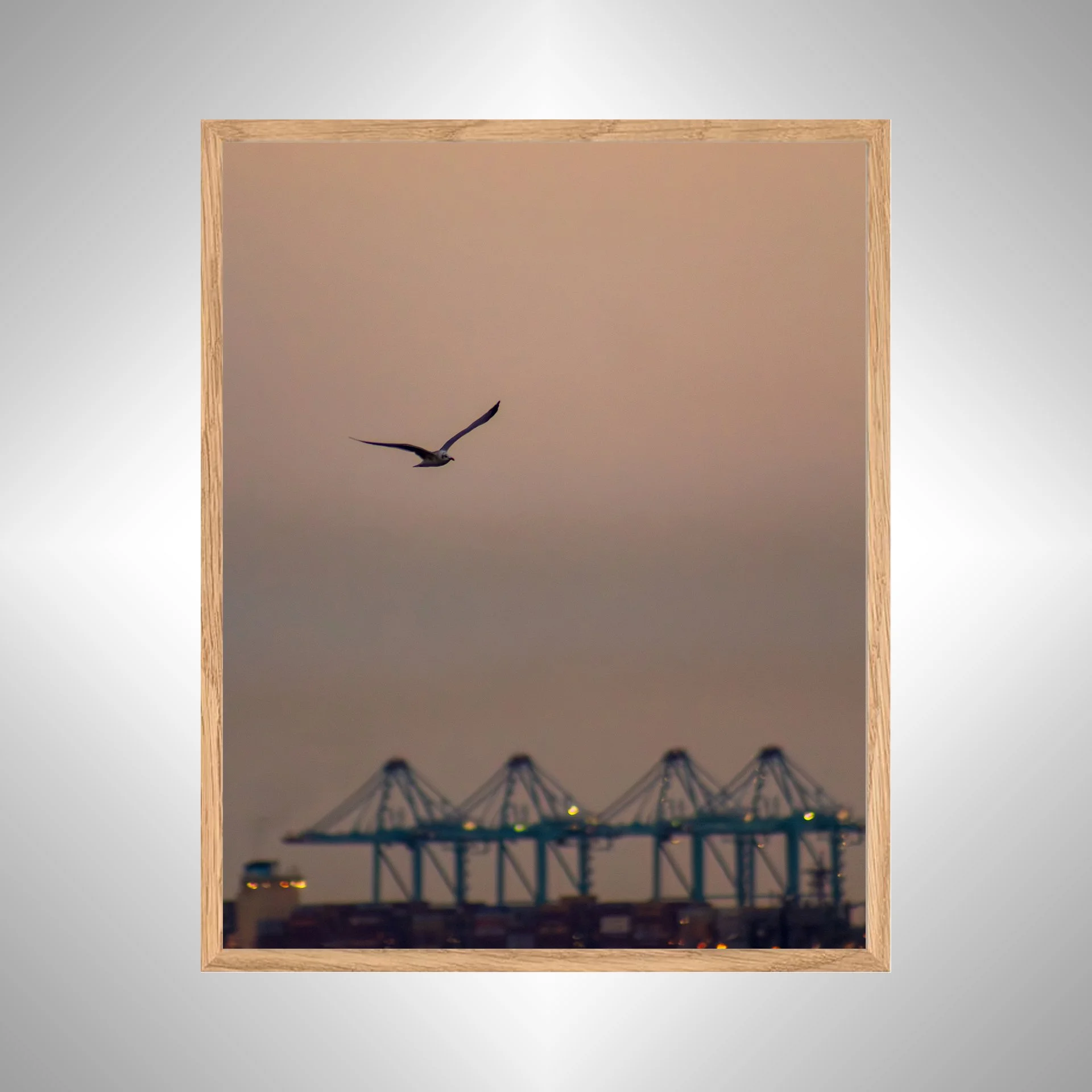 1:1 Seagull with Terminal Cranes- White copy NATTY.jpg