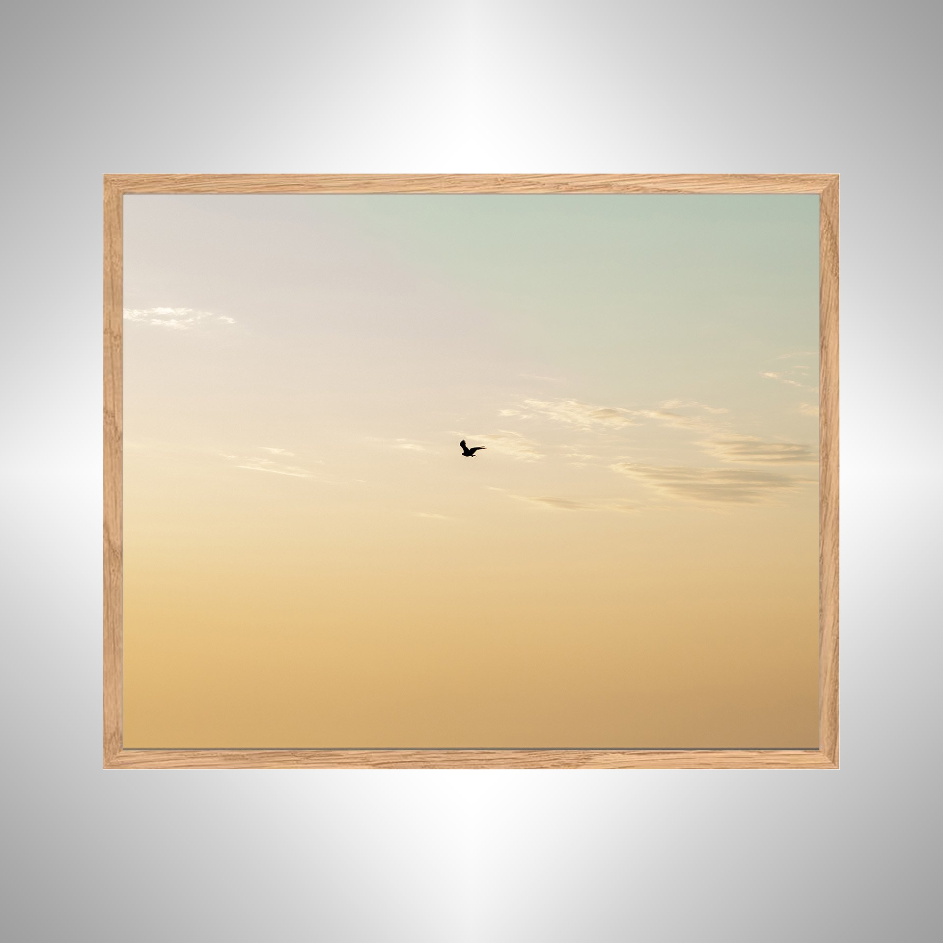 1_10 Golden Gull on Horizon- White nat.jpg