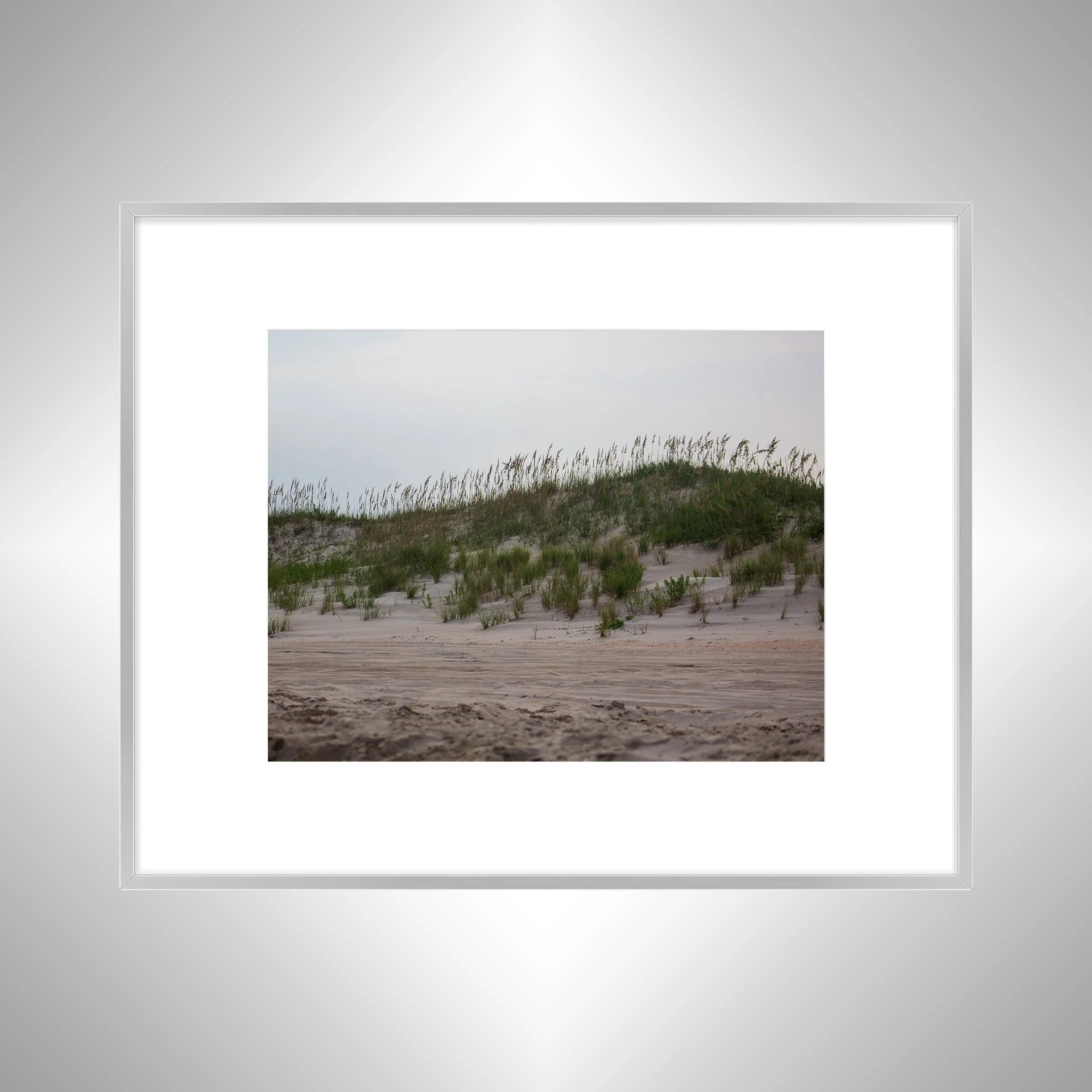 1:10 Ocracoke Dune Oats (Landscape)- Silver w: Border.jpg