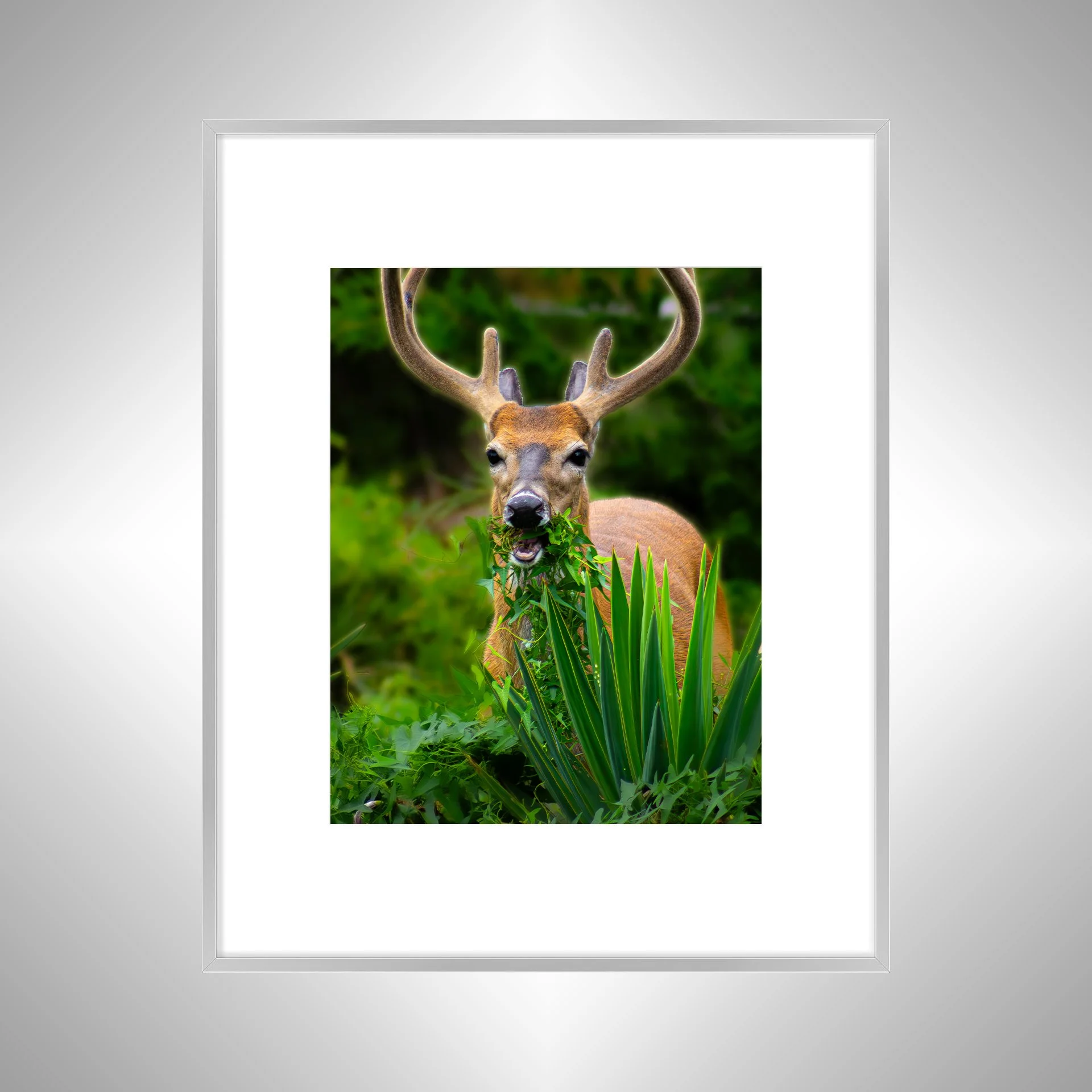 1:1 Deer Dinner in Hatteras- Silver Metal w: Border.jpg