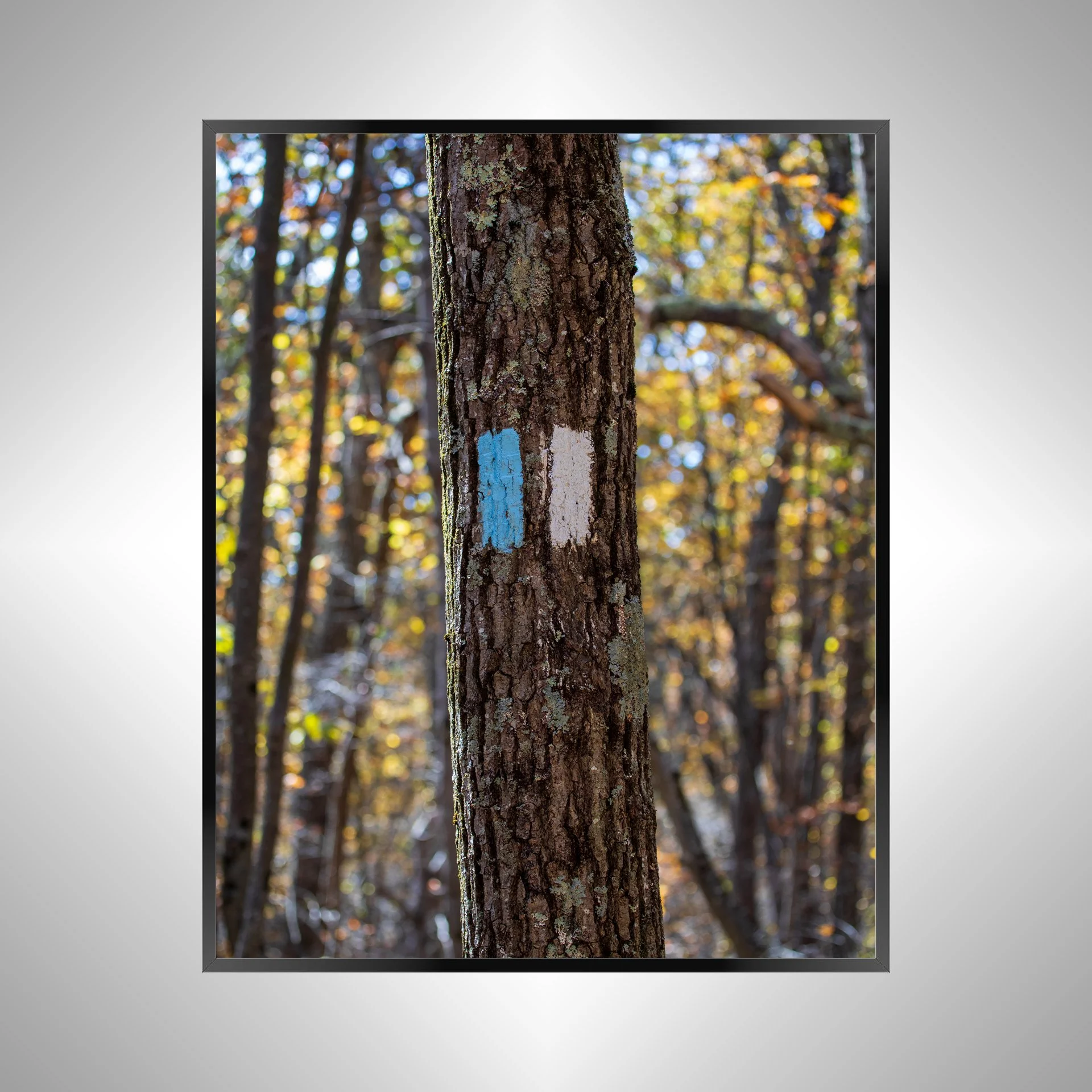 1/1 Appalachian Trail Blaze