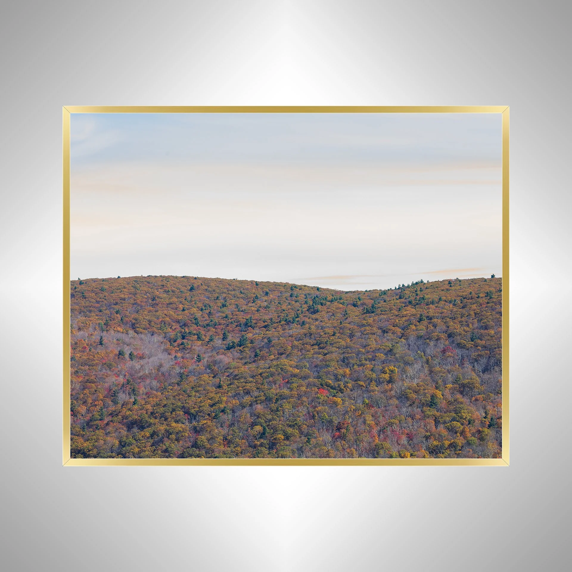 1:1 Shenandoah Mountain Tree Canopy at Fall- gold.jpg