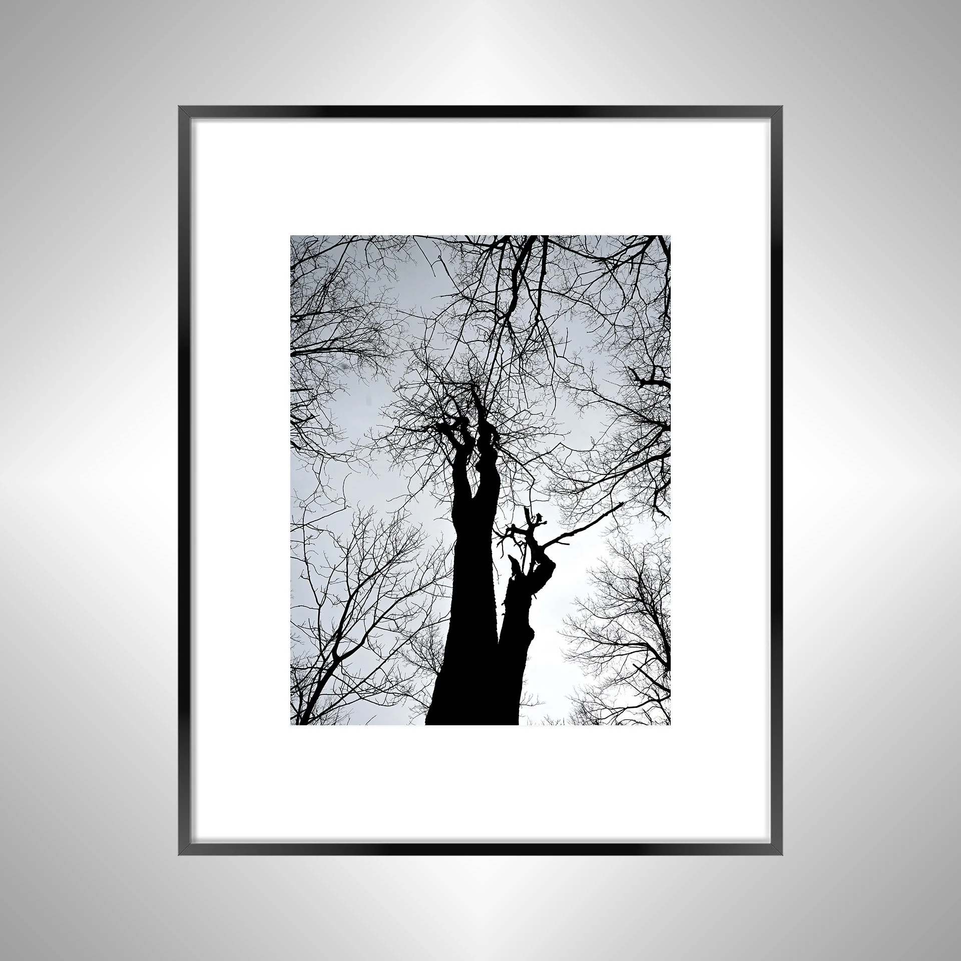 1:1 Nellysford Tree Undershot- Black Metal w: Border.jpg