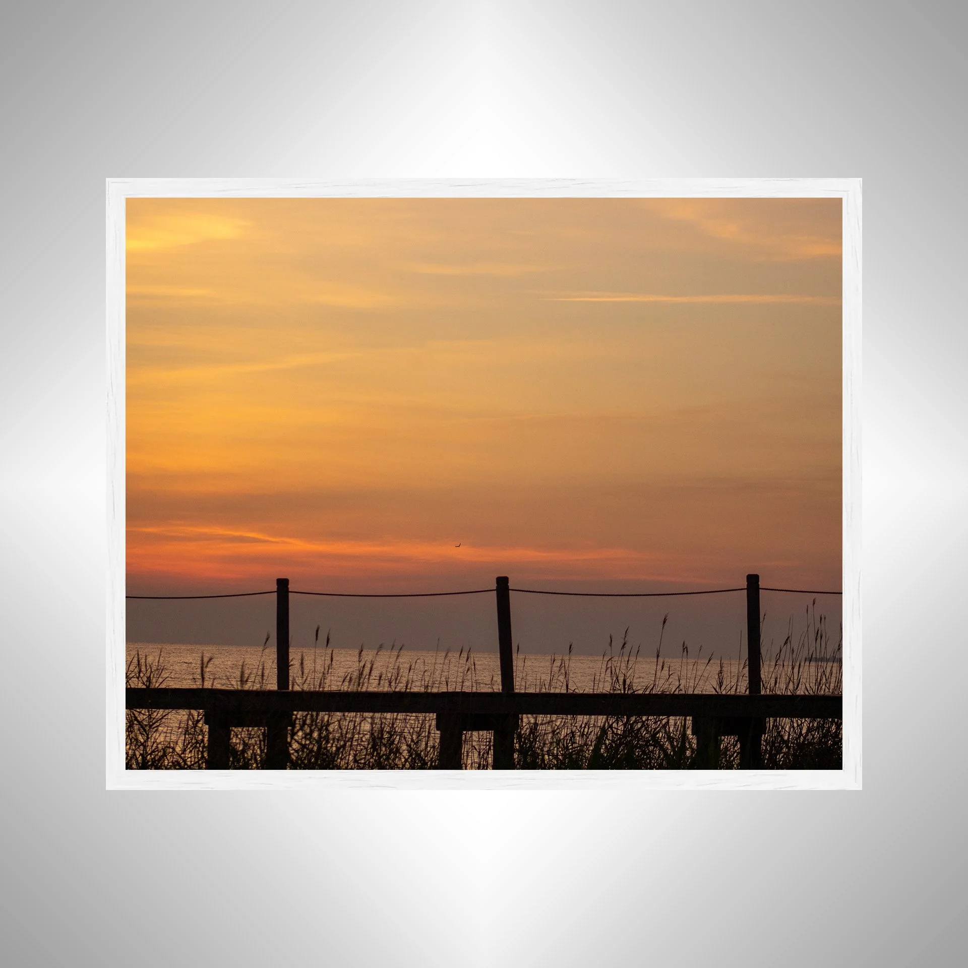 1:1 Sound Sunset with Seagull, Pier and Oats- White.jpg