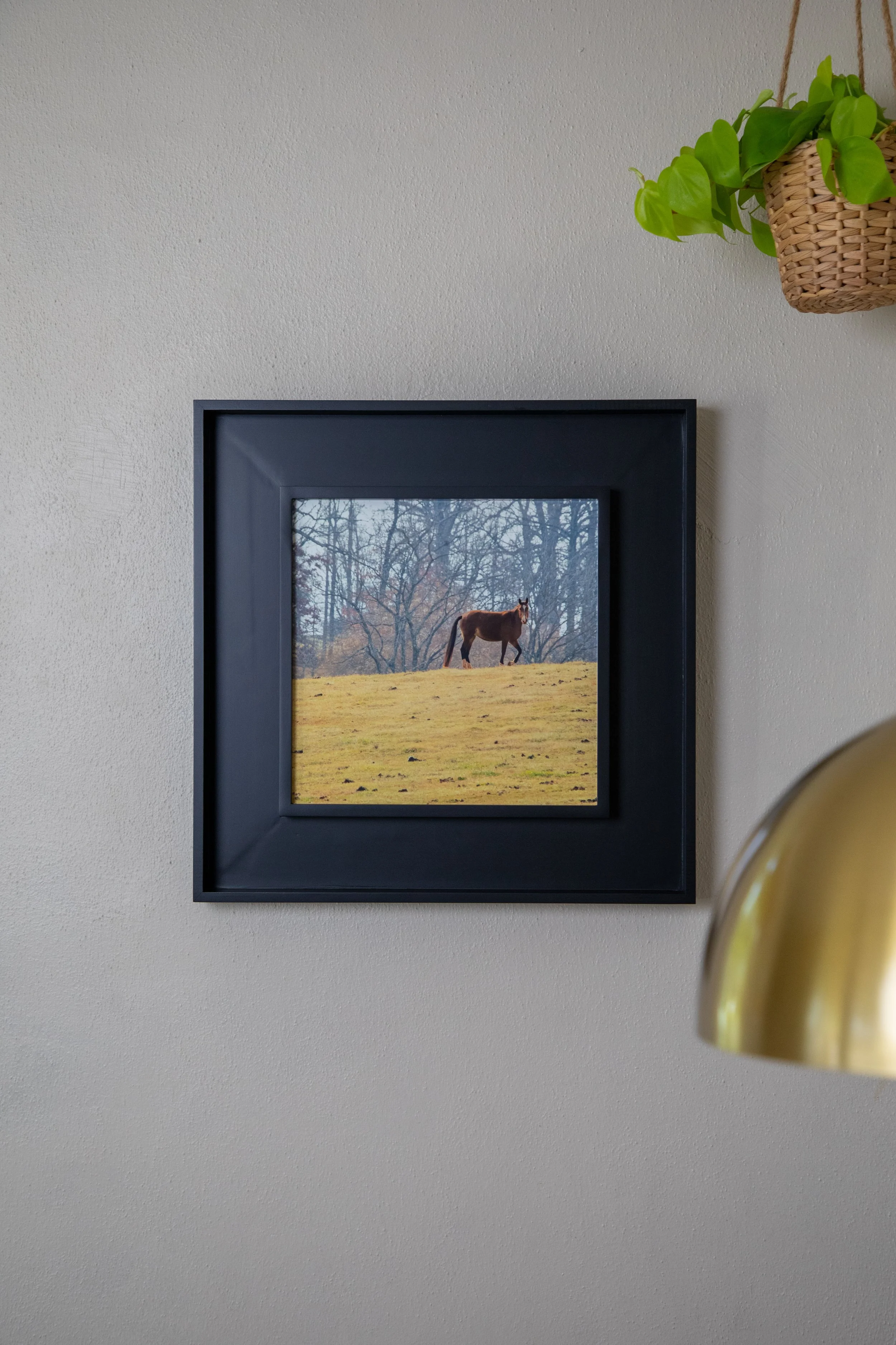 On Hand- 1:10 Shenandoah Horse in Window Wood Frame10.jpg