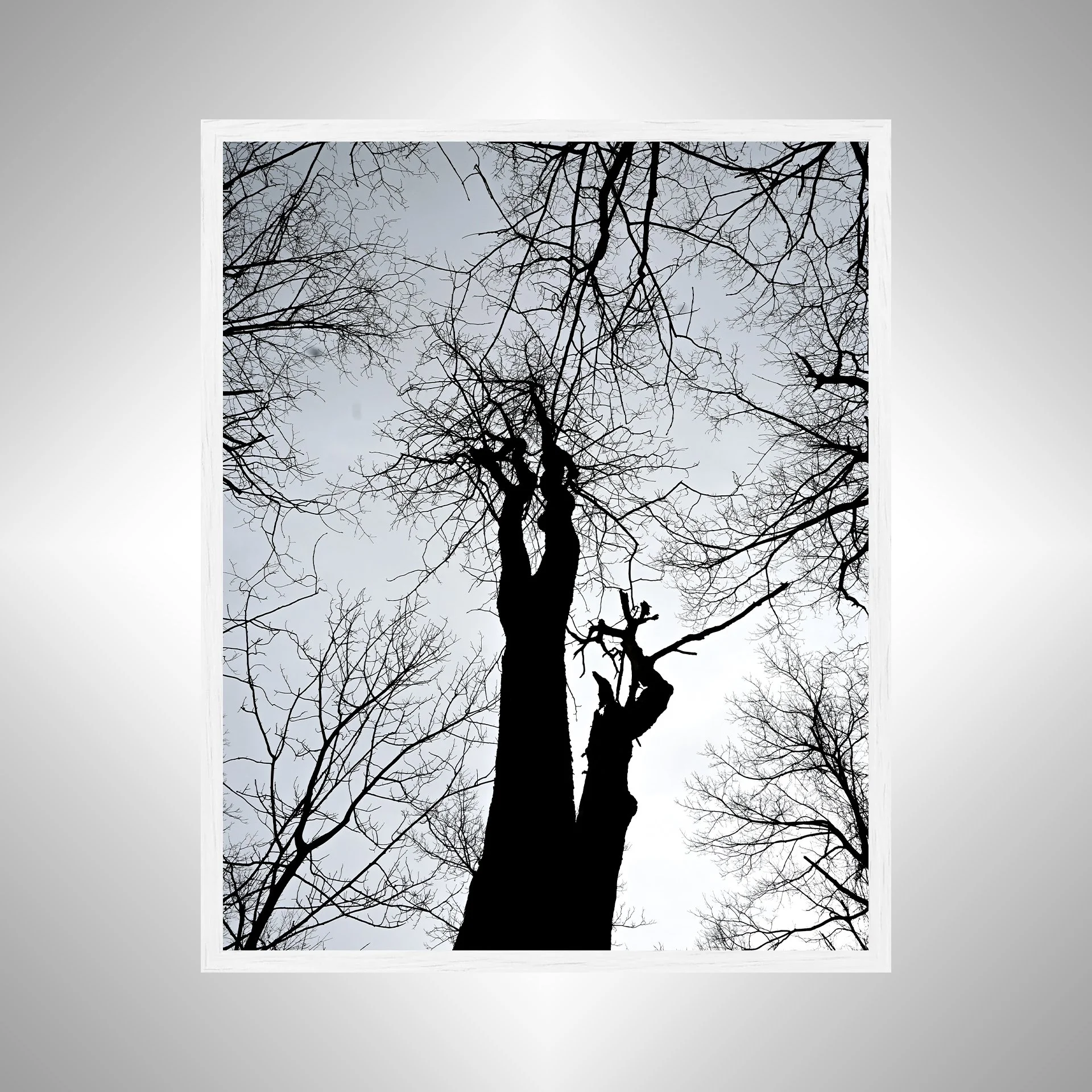 1:1 Nellysford Tree Undershot- White Wood.jpg