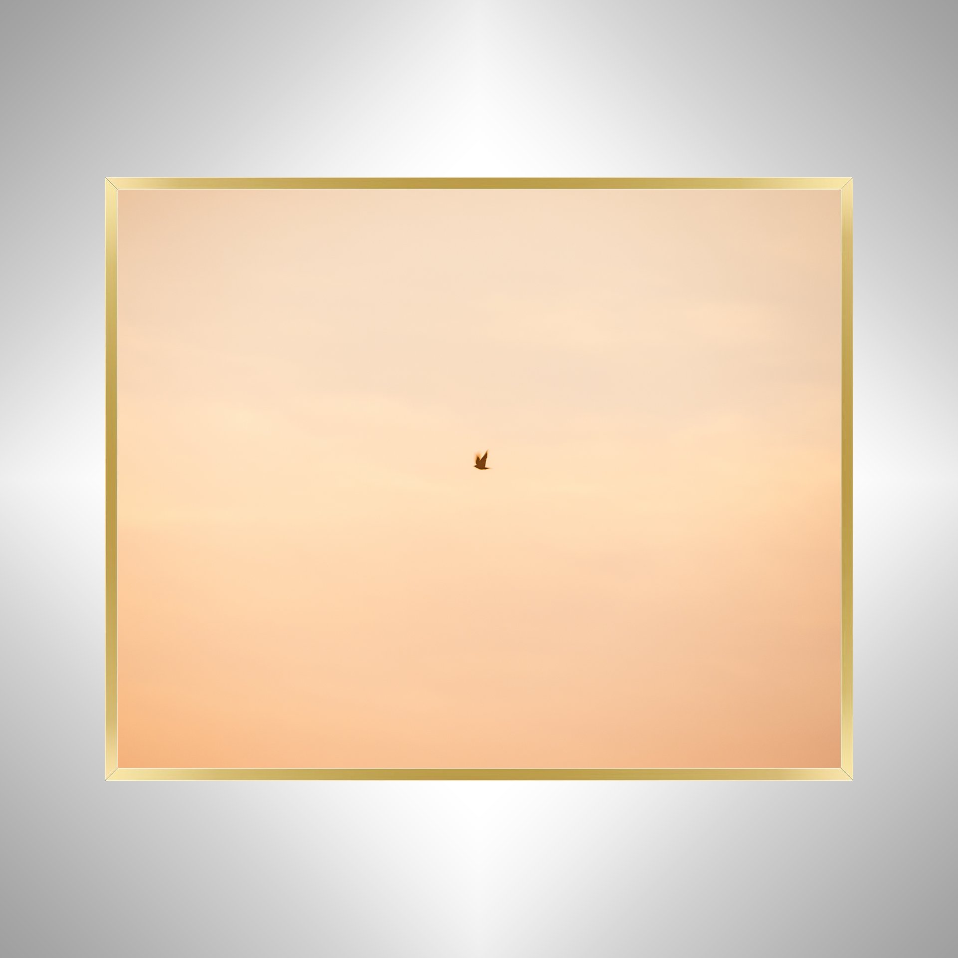 1:1 Slow Shutter Sunrise Seagull- Gold.jpg