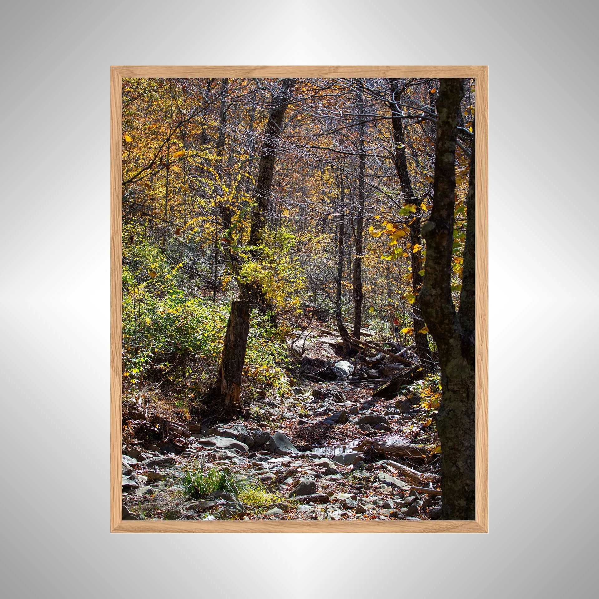 1:1 Shenandoah National Park Rocky Trail- White copy NATTY.jpg