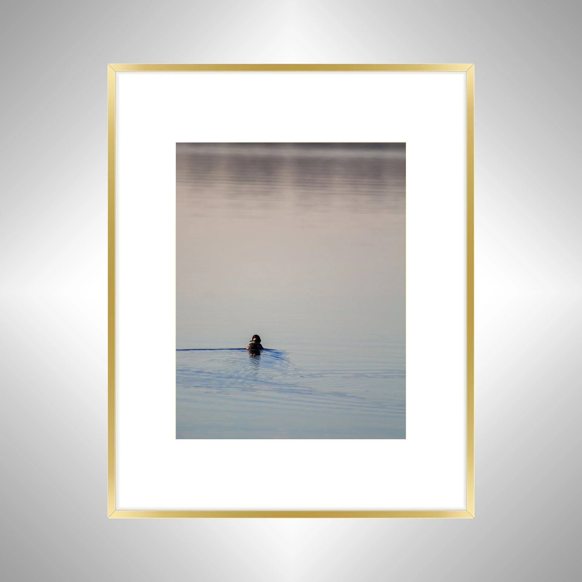 1:10 Bufflehead on Lafayette- Gold w: Border.jpg