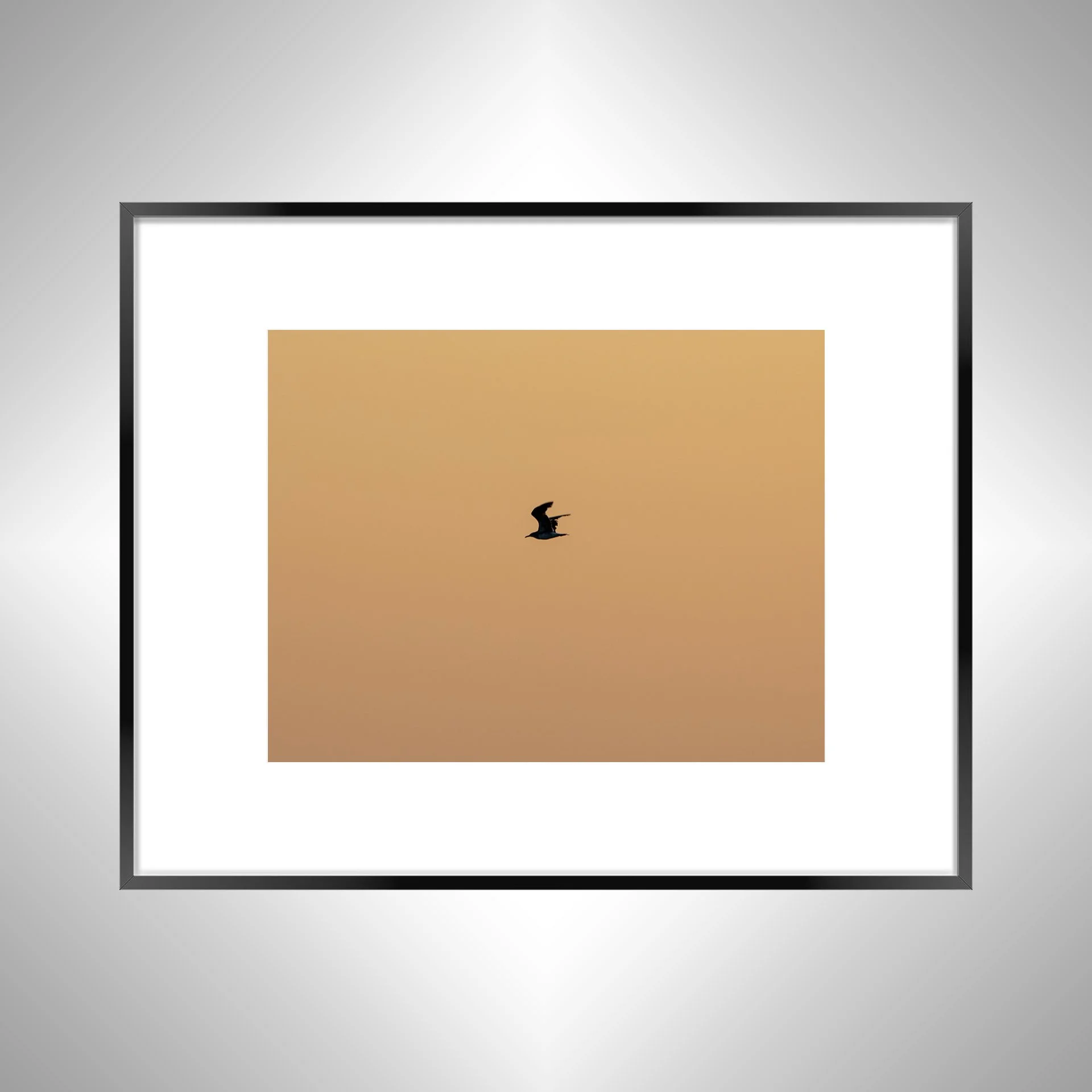 1:10 Orange Side Glider in Duck, NC- Black w: Border.jpg