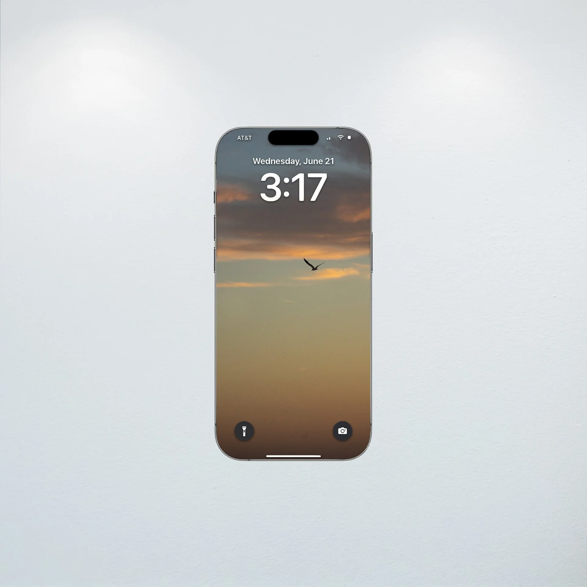 1:10 Seagull Soaring Gradient- Wallpaper.jpg