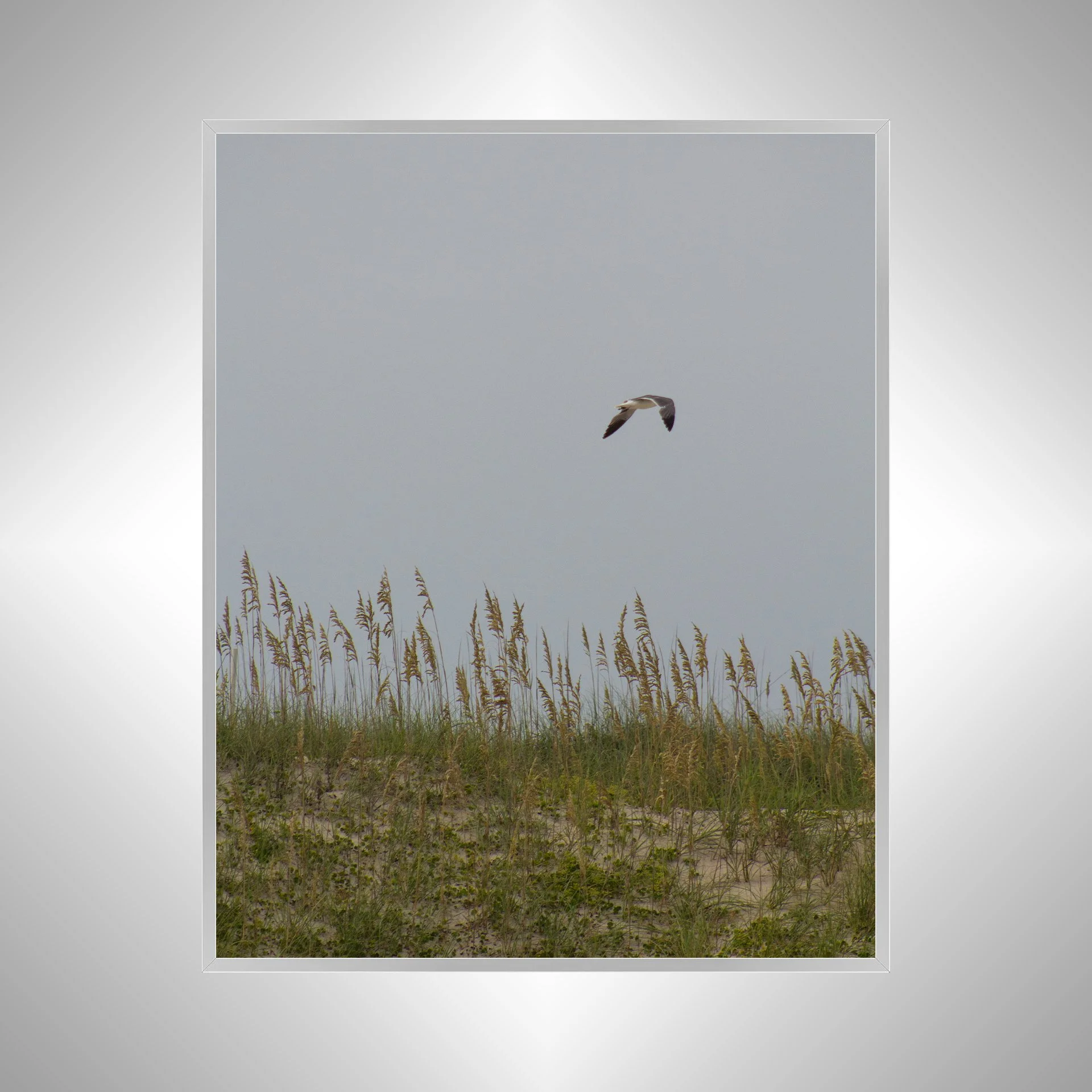 1:1 Seagull with Sea Oats- Silver.jpg