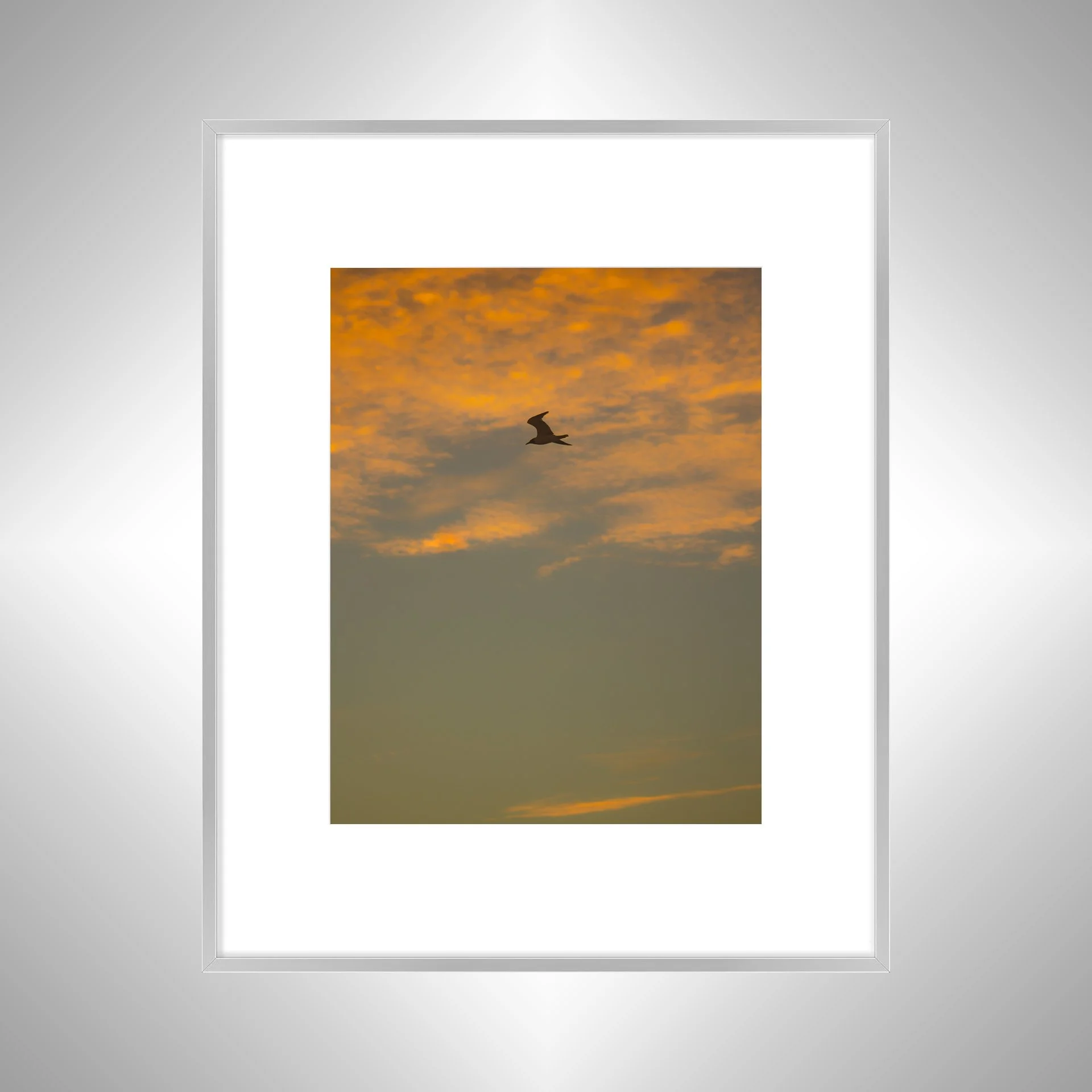 1:1 Seagull Flying with Orange Clouds- Silver w: Border.jpg