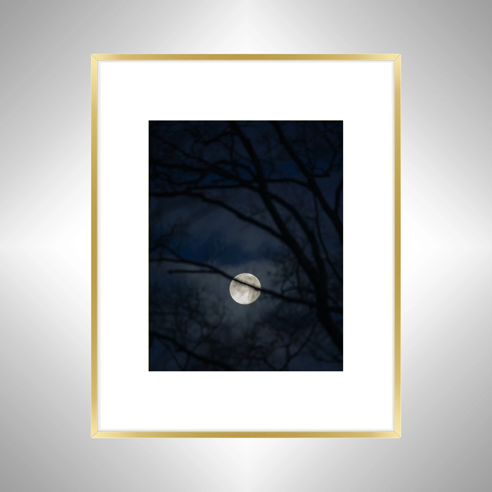 1:10 Moon thru Tree Branches- Gold w: Border.jpg