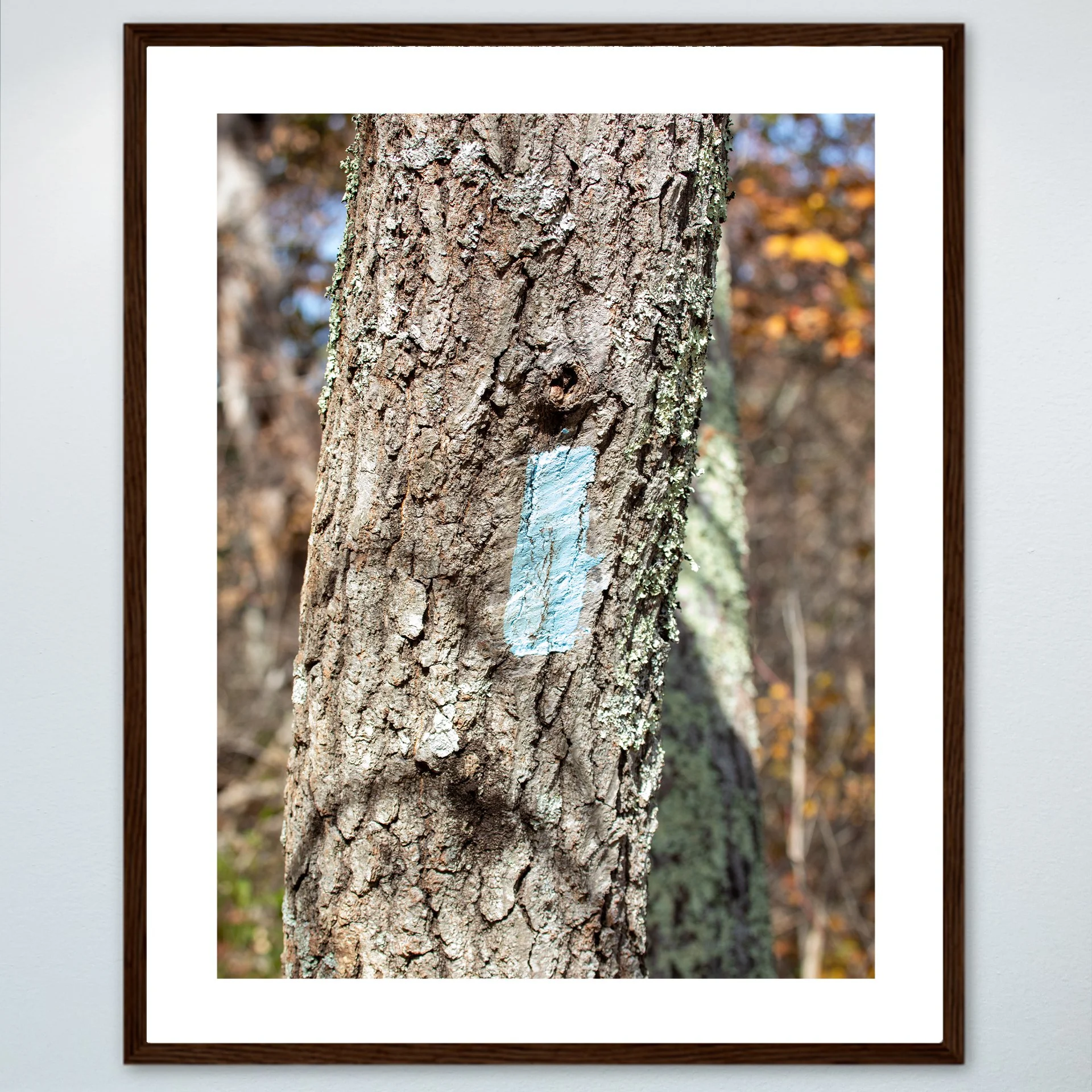 1:10 Appalachian Trail Blaze- Wood w: Border.jpg