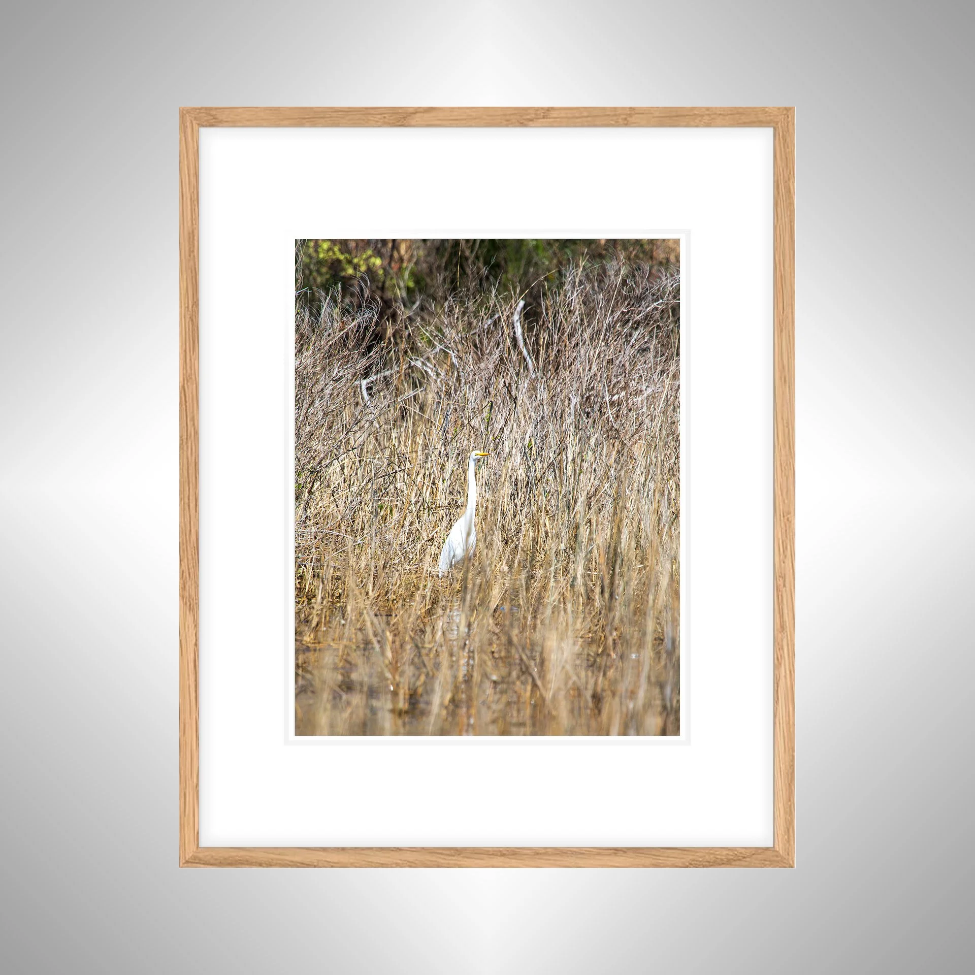 1:1 Wading Egret- White w: Border copy NATTY.jpg