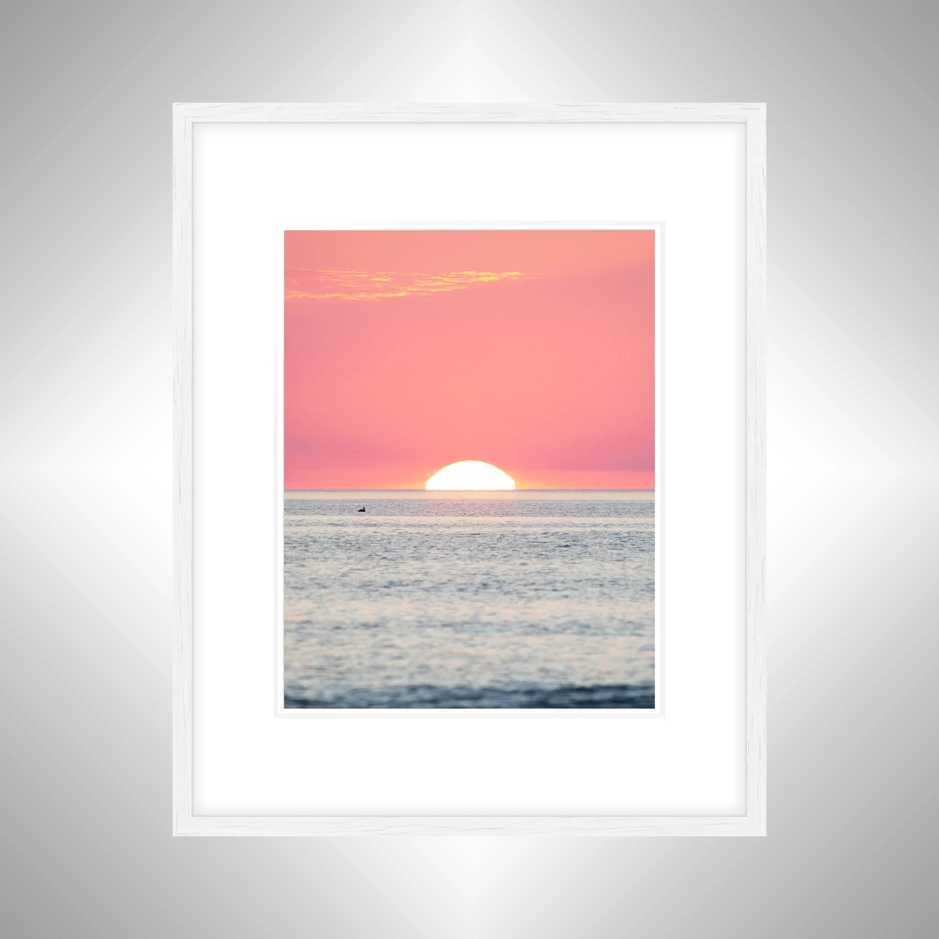 1:1 Pelican Watching Sunrise (Portrait)- White w: Border.jpg
