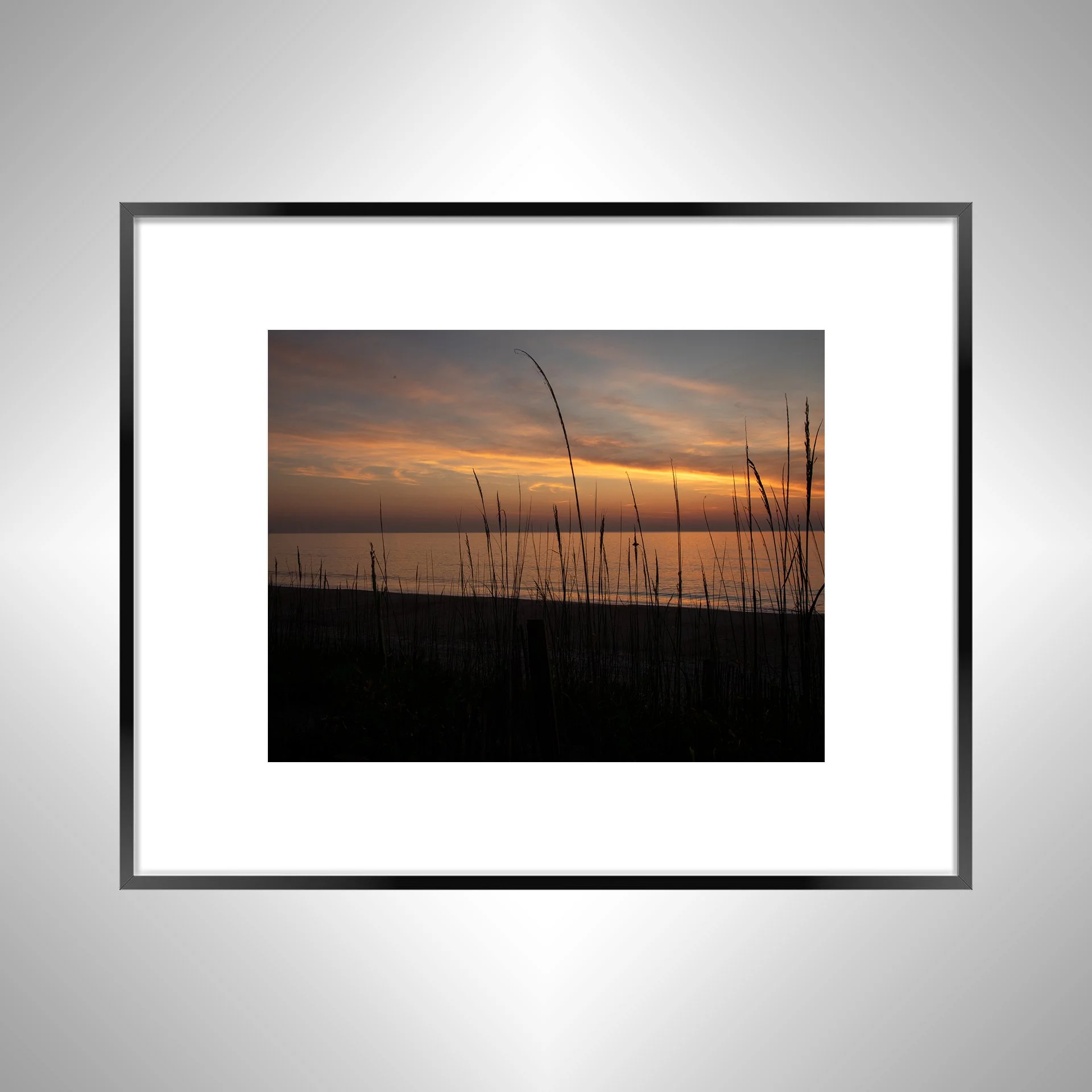 1:1 Sunrise behind Dunegrass- Black w: Border.jpg