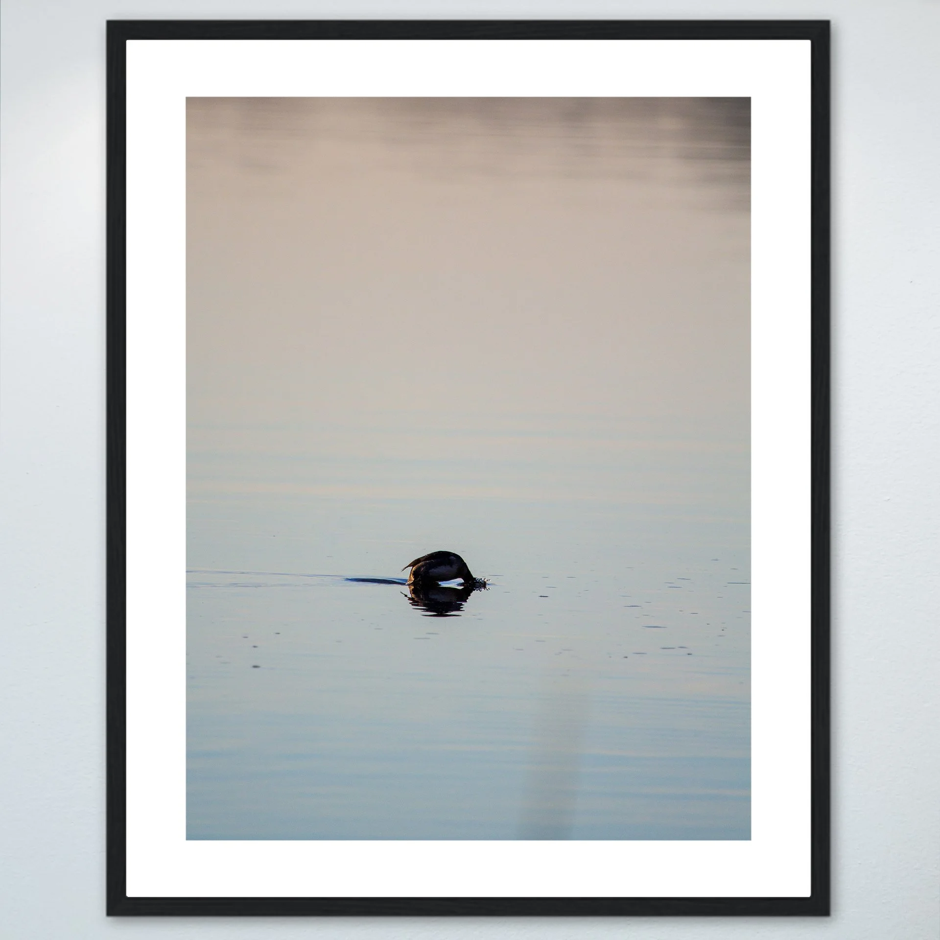1:1 Bufflehead on Lafayette Diving- Wood w: Border.jpg