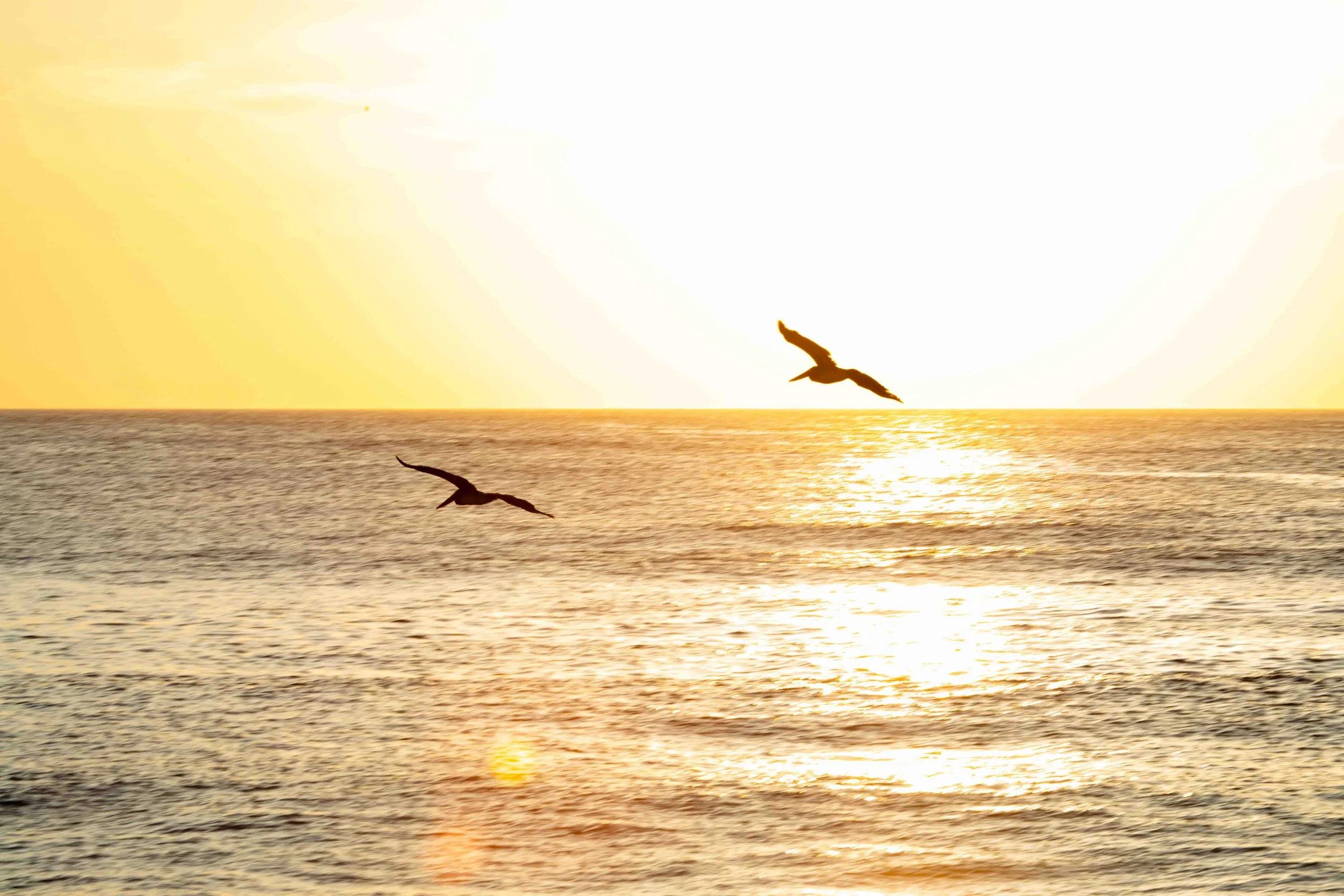 1:10 Gliding to the Sunrise.jpg