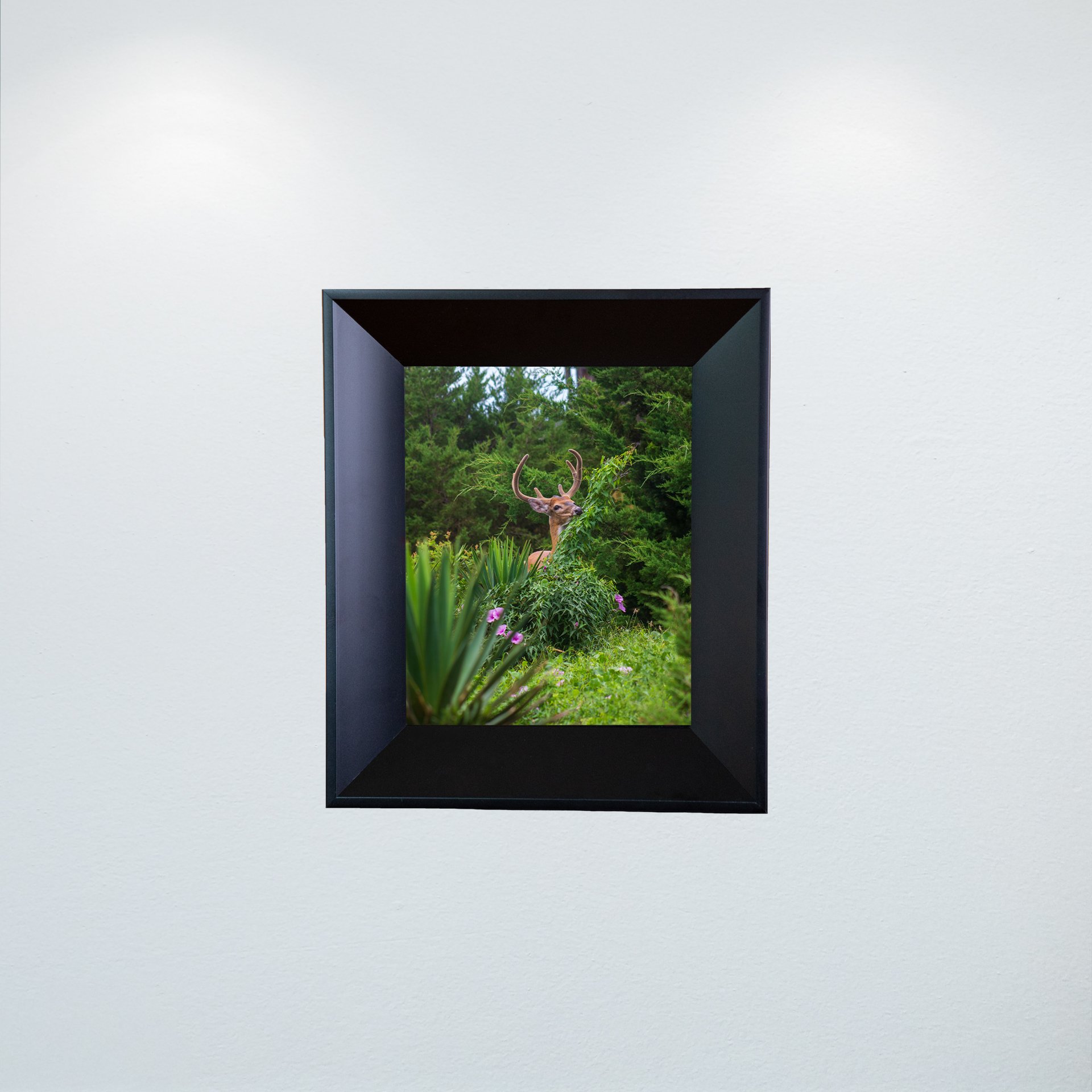 1:1 Deer Eating in Rodanthe- Mini.jpg