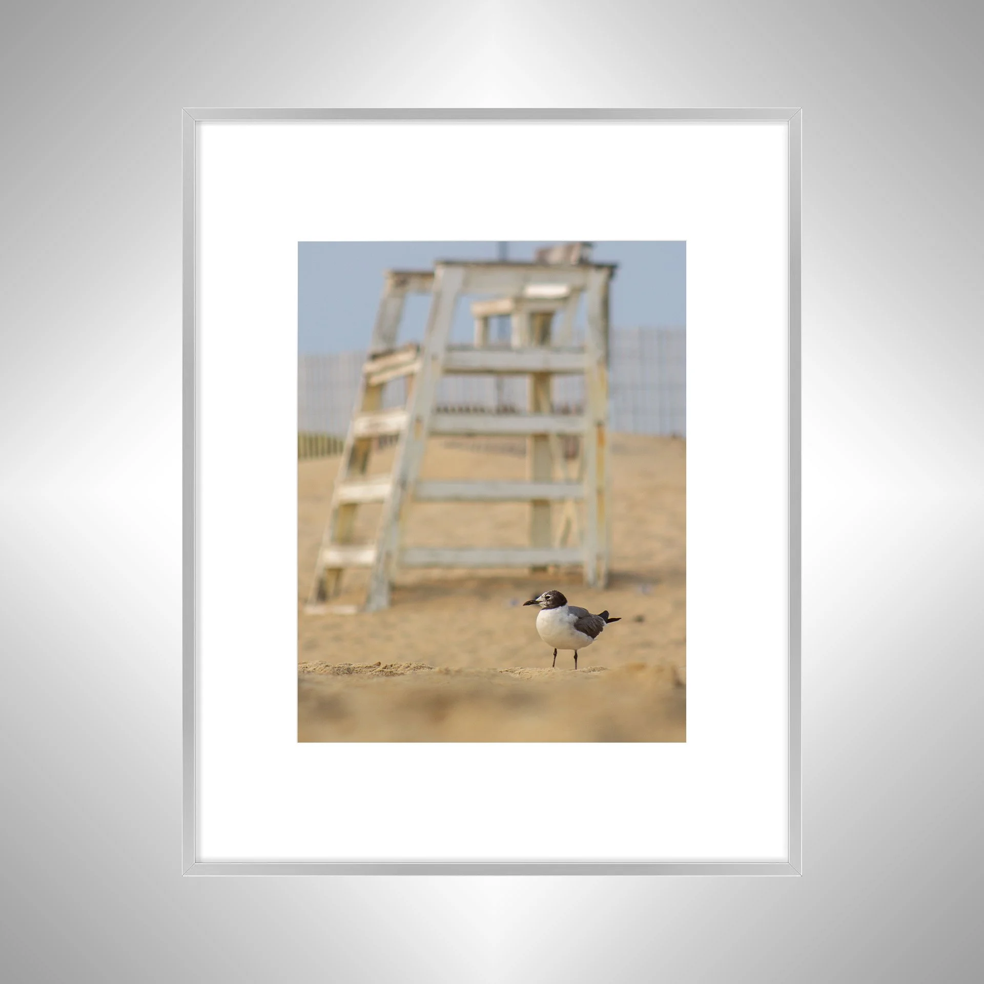 1:1 Lifeguard Gull- Silver Metal w: Border.jpg