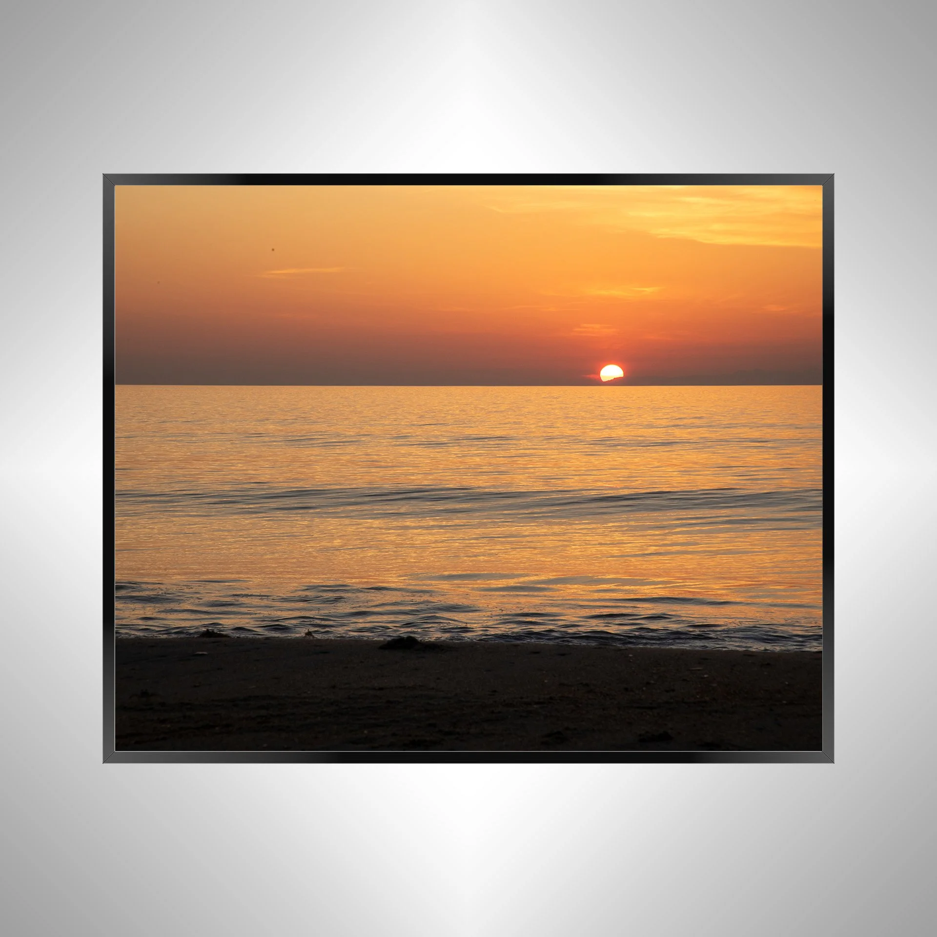 1/1 Crab Watching Horizon in Duck, NC