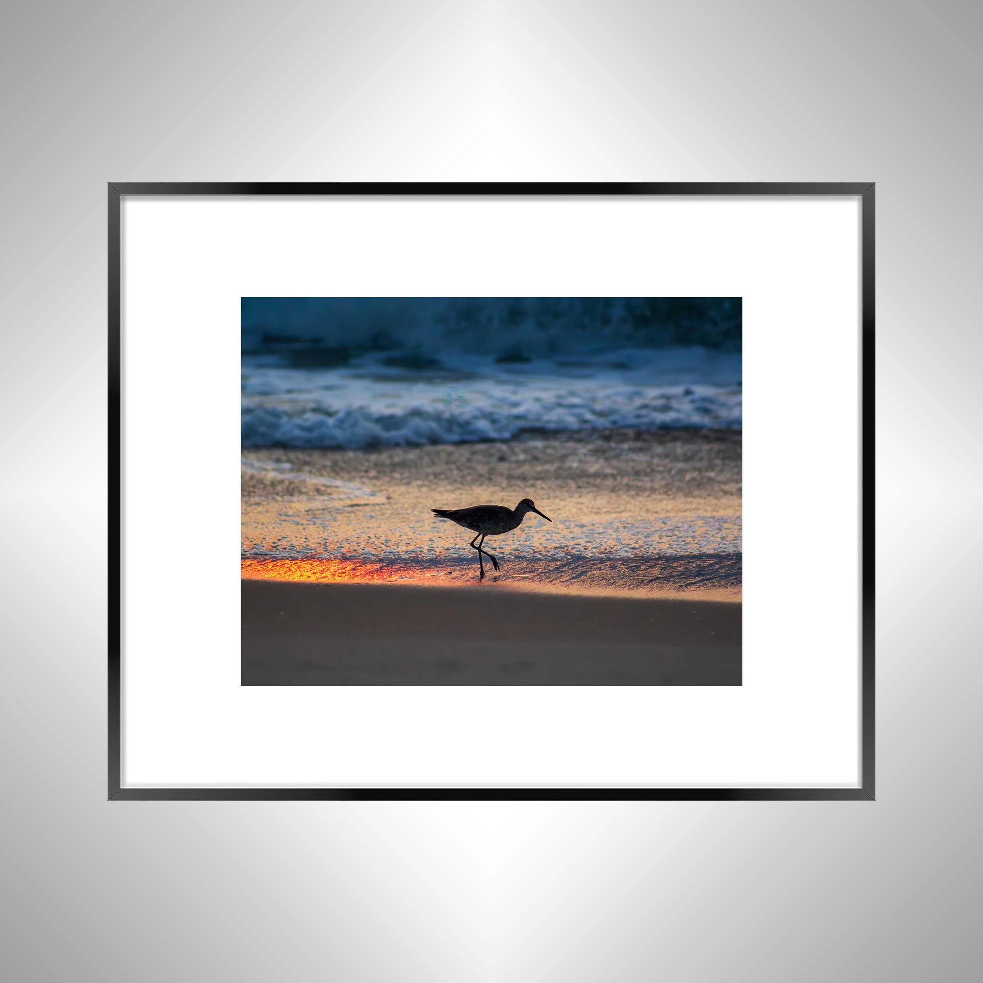 1:1 Willet Step- Black w: Border.jpg