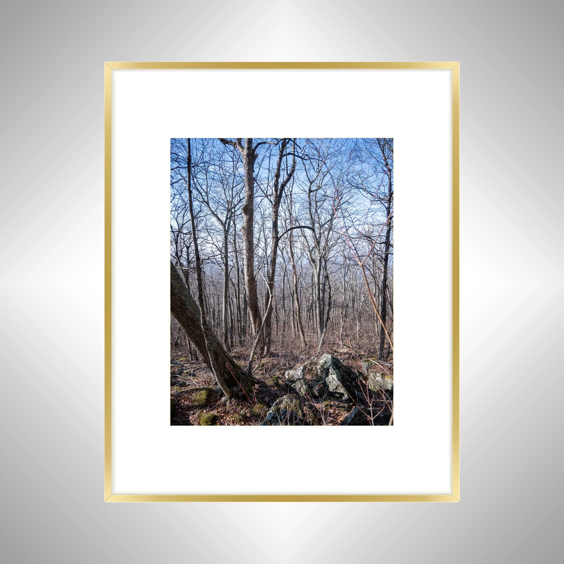 1:1 Shenandoah National Park Forest during Winter- Gold w: Border.jpg