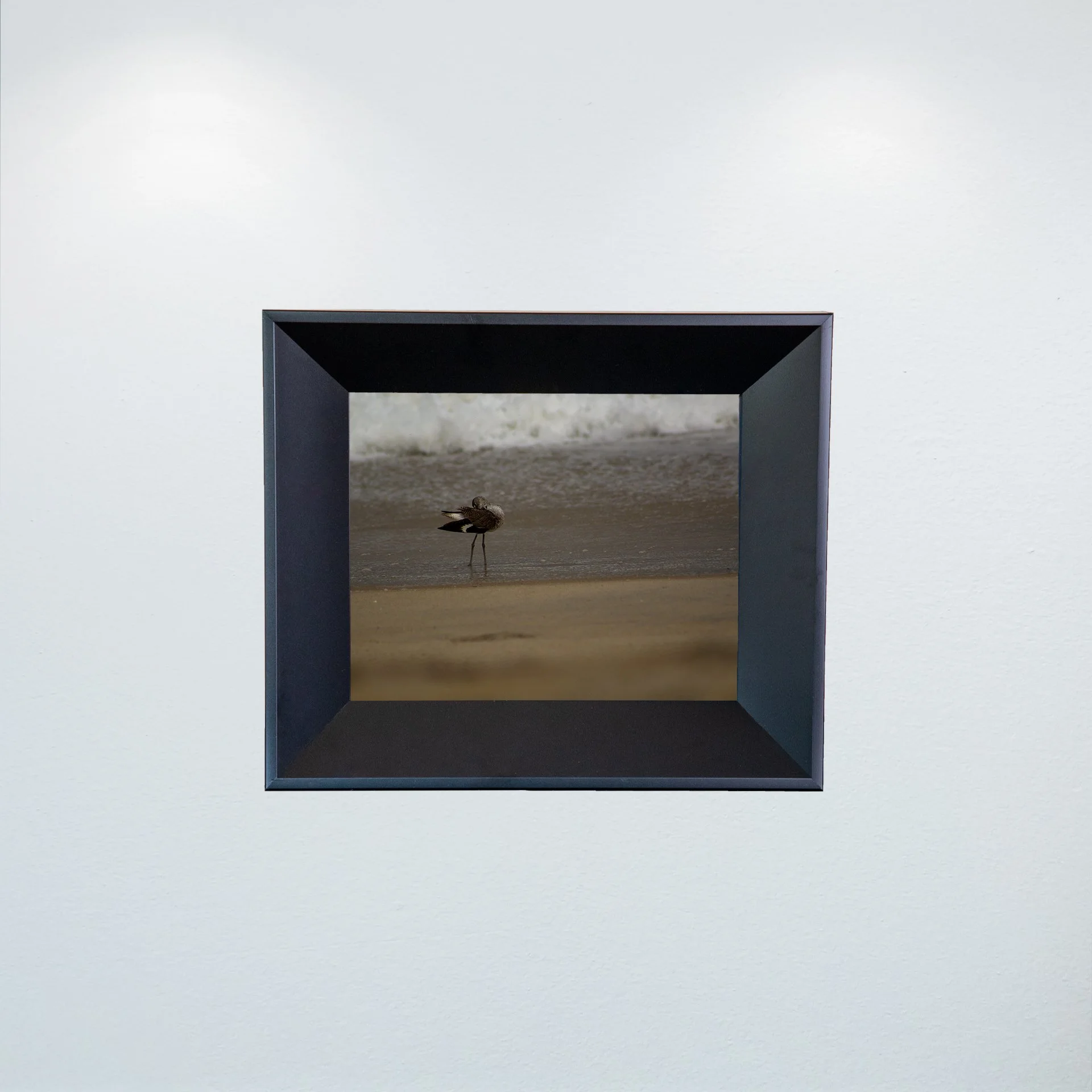 1:1 Willet Cleaning- Mini.jpg