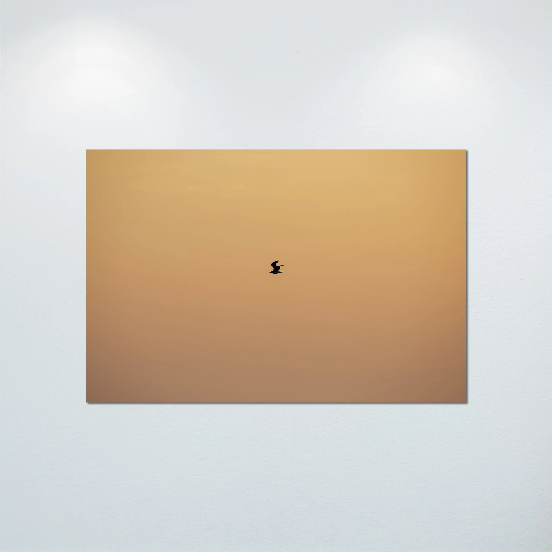 1:10 Orange Side Glider in Duck, NC- Poster & Canvas.jpg