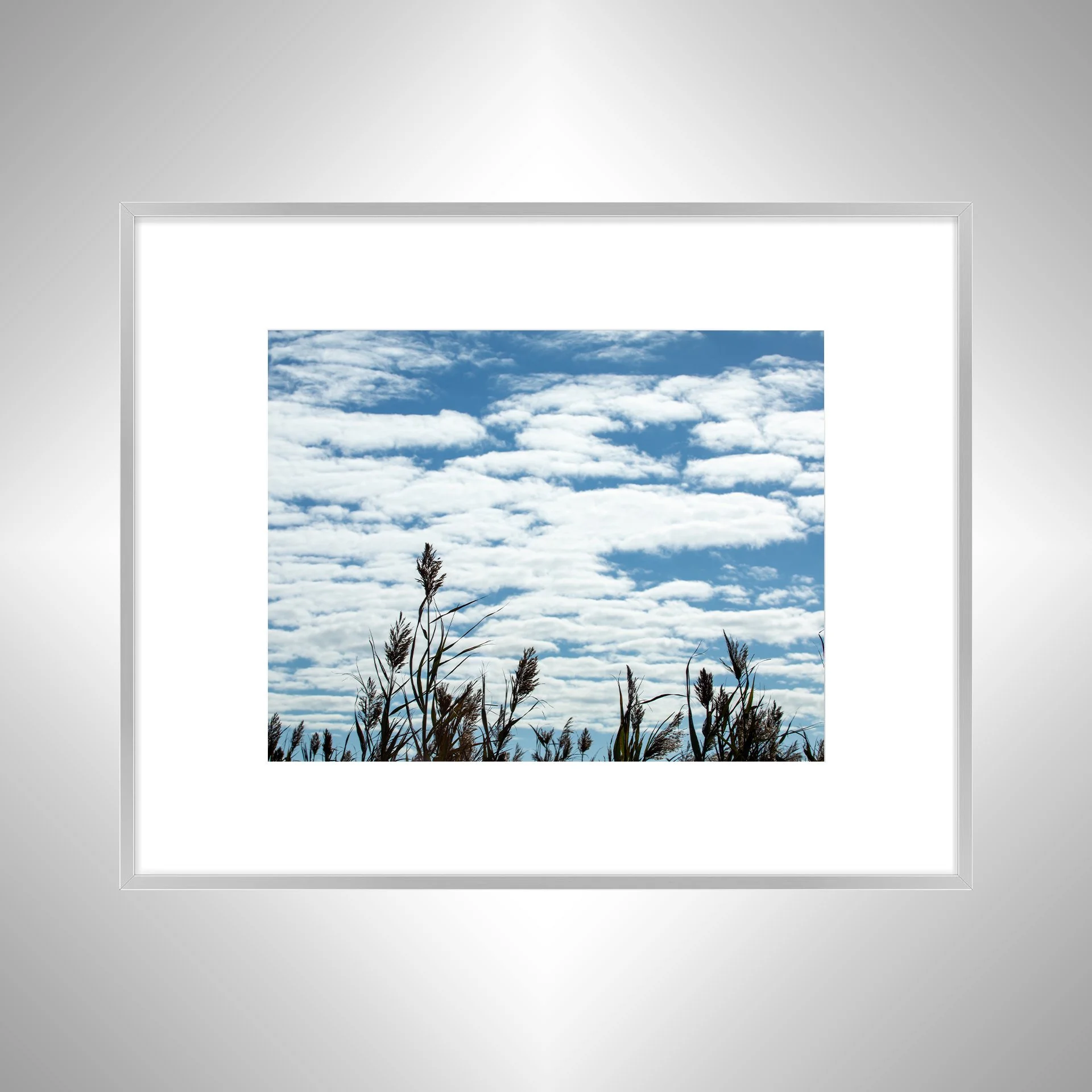 1:1 Back Bay Reeds & Cloudy Sky- Silver Metal w: Border.jpg