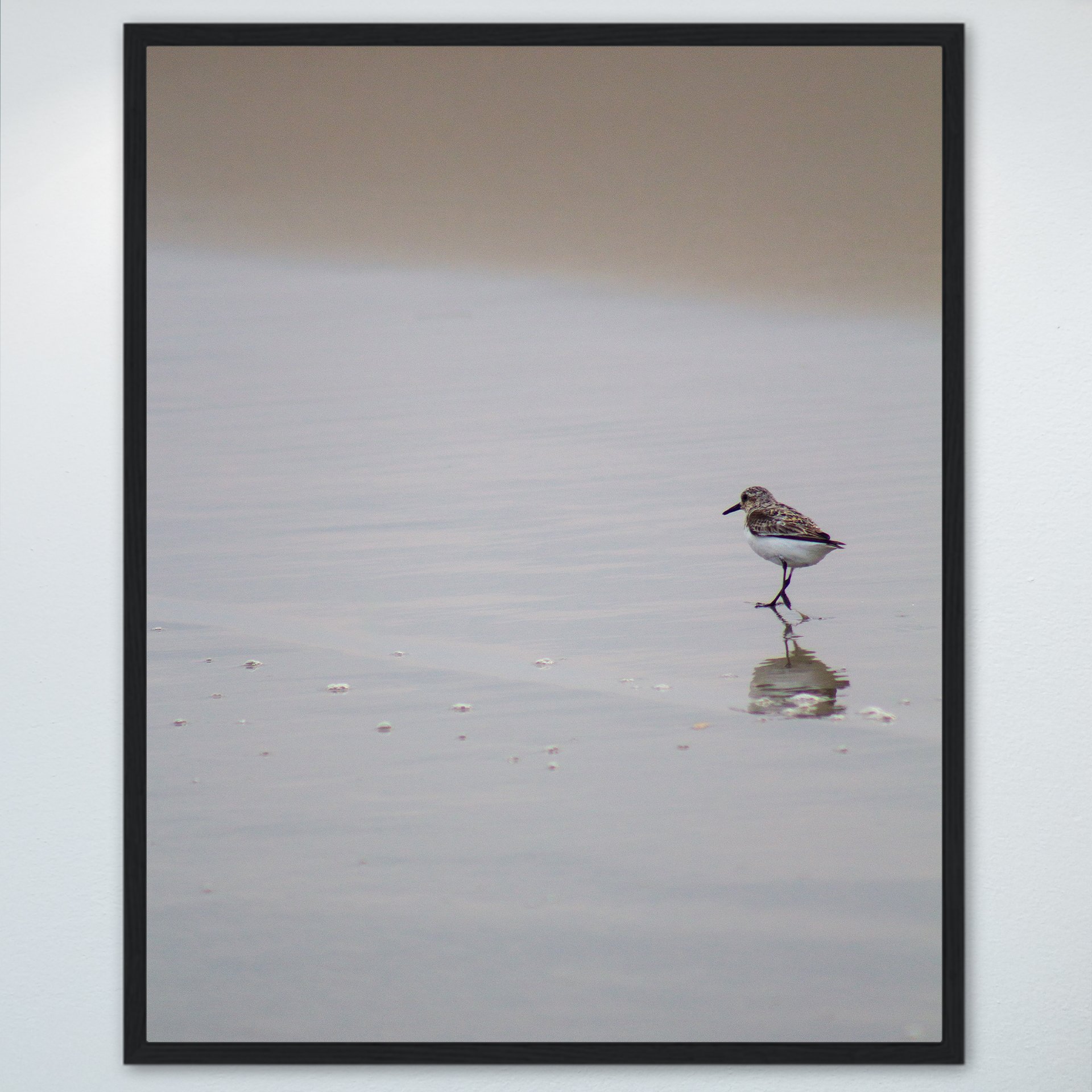 1:1 Sanderling Reflection- Wood.jpg