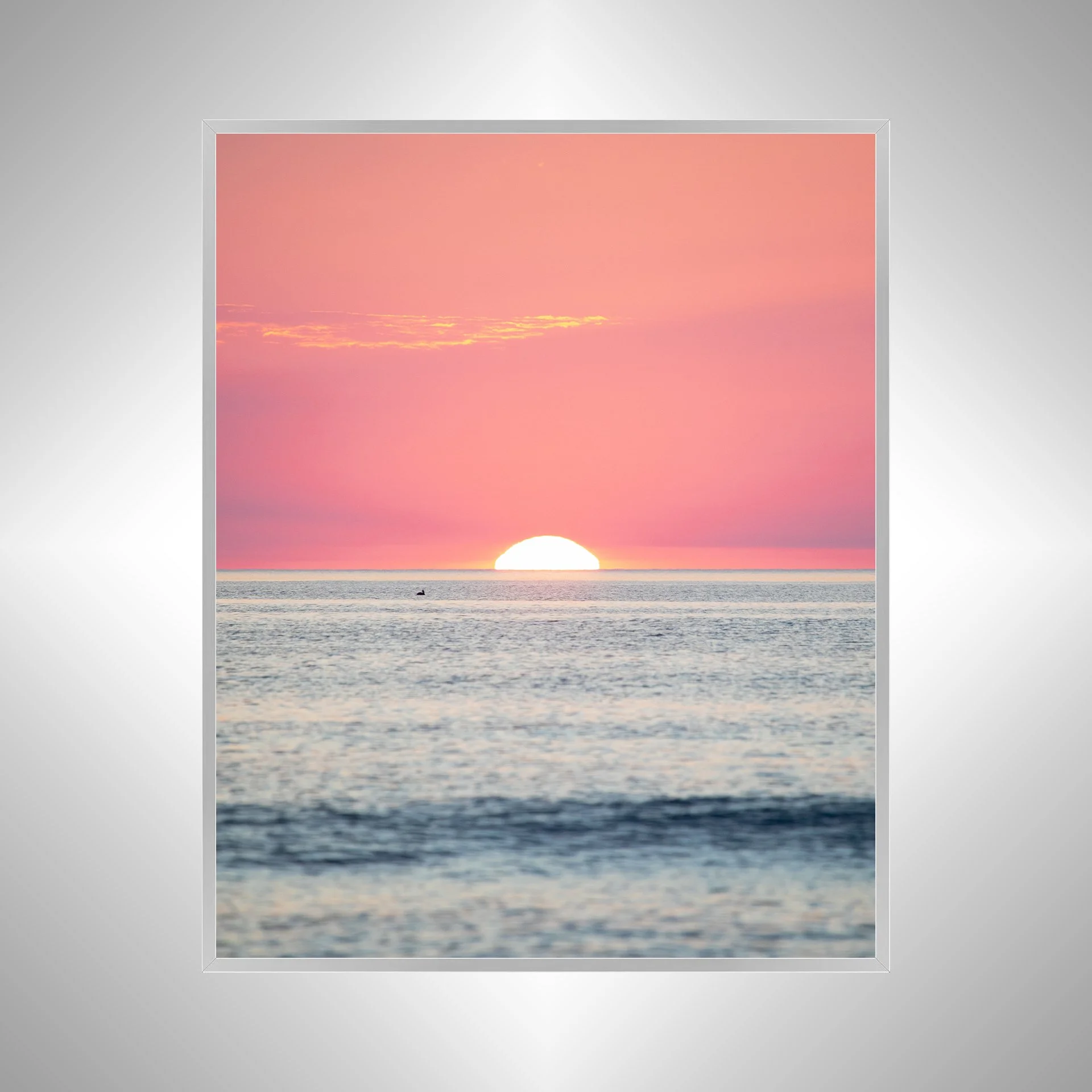 1:1 Pelican Watching Sunrise (Portrait)- Silver.jpg