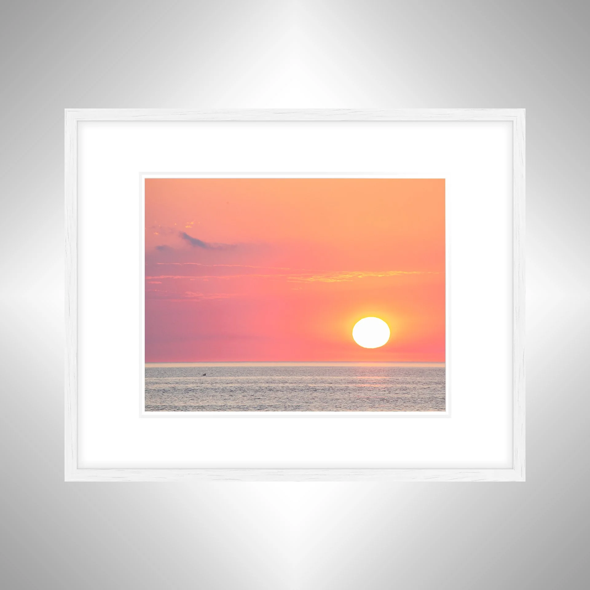 1:1 Pelican Watching Sunrise (Landscape)- White w: Border.jpg