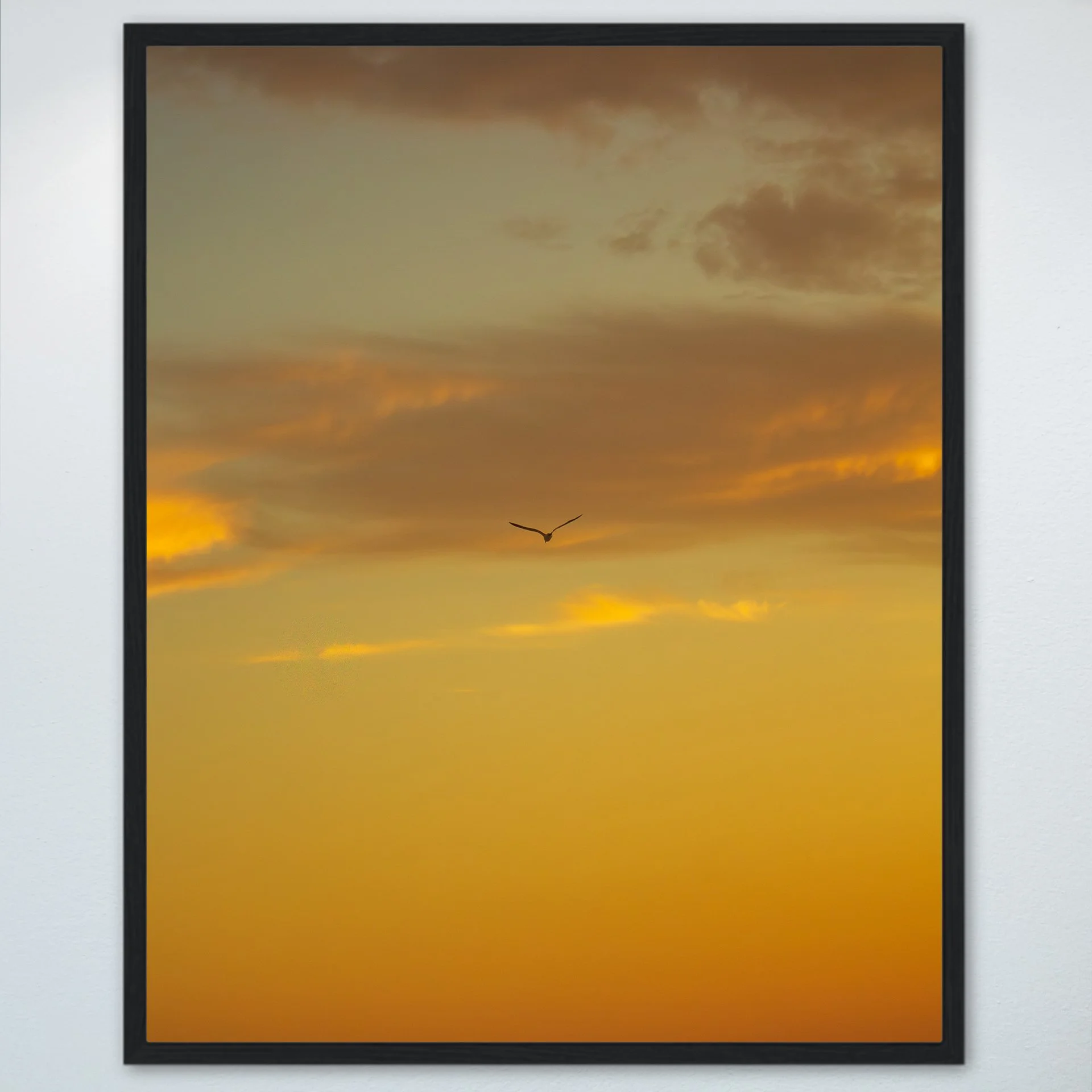 1:1 Seagull Soaring towards Clouds & Sunrise Gradient- Wood.jpg