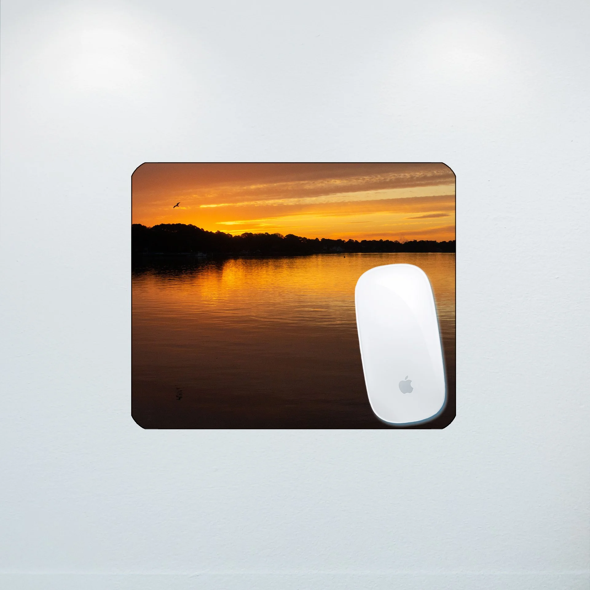 1:10 Seagull at Sunrise on the Lafayette River- Mouse Pad.jpg
