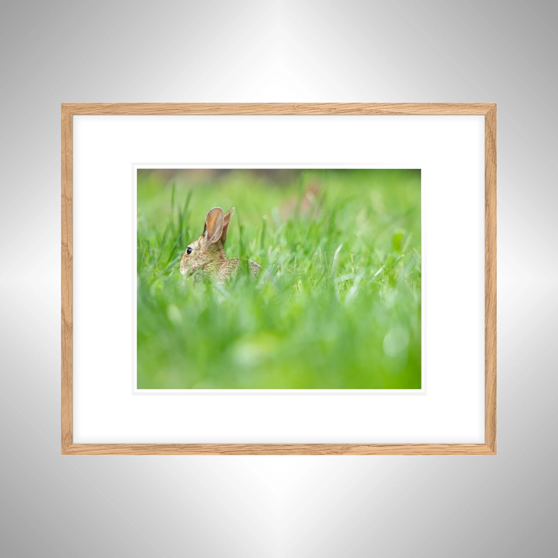 1:1 Rabbit in Grass- White w: Border copy NATTY.jpg