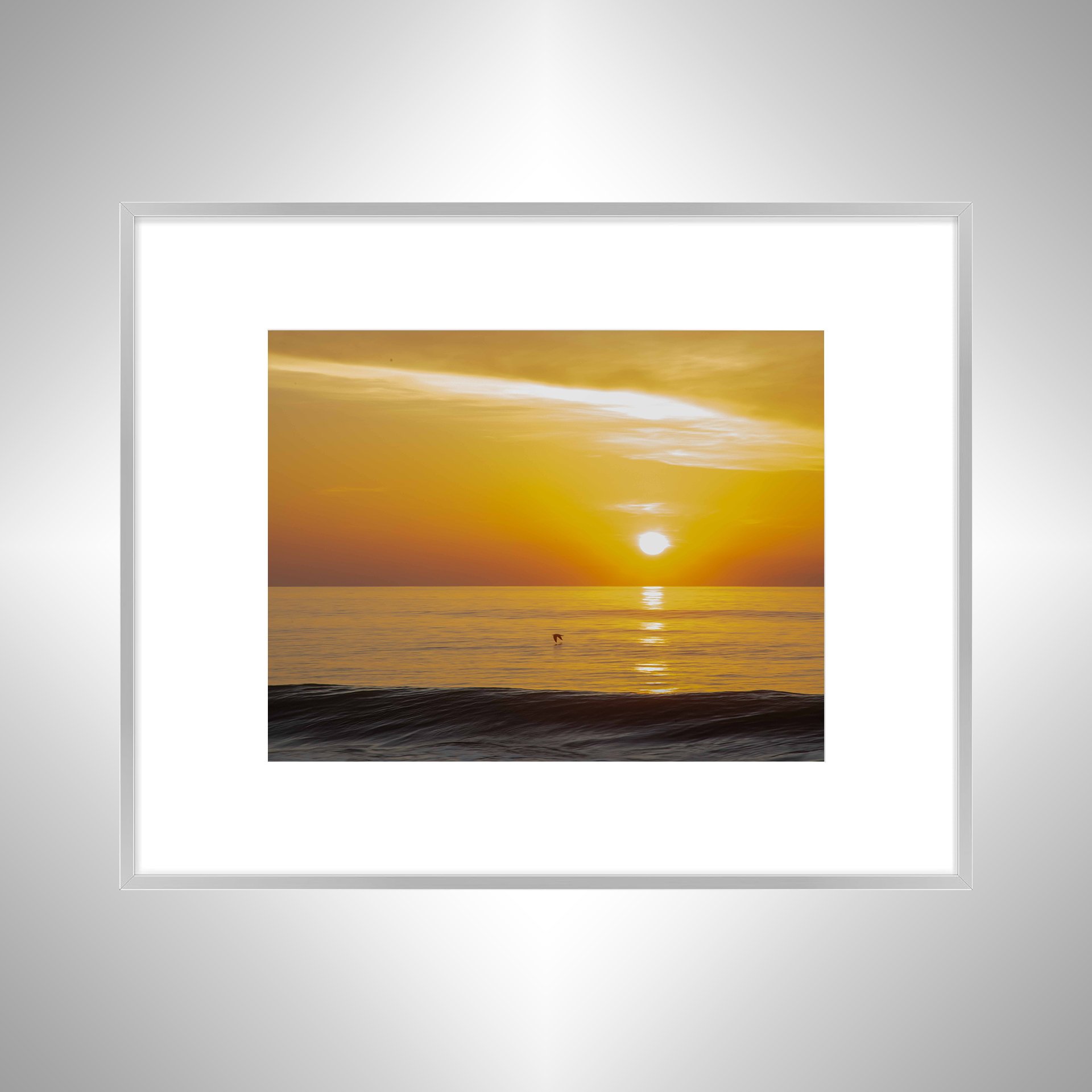 1:1 Sea 'Gull Soaring- Silver w: Border.jpg