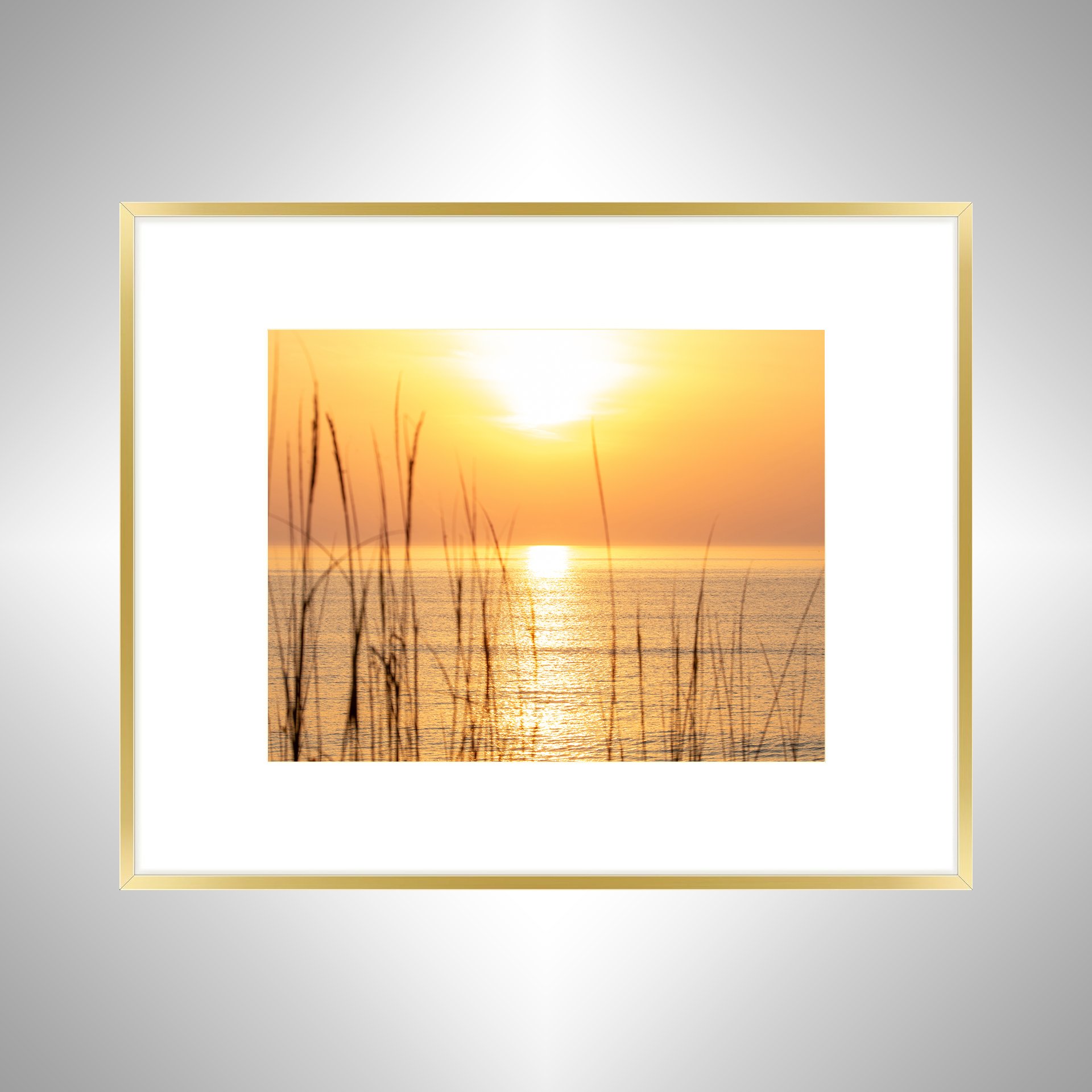 1:1 Sunrise thru Dunegrass- Gold w: Border.jpg