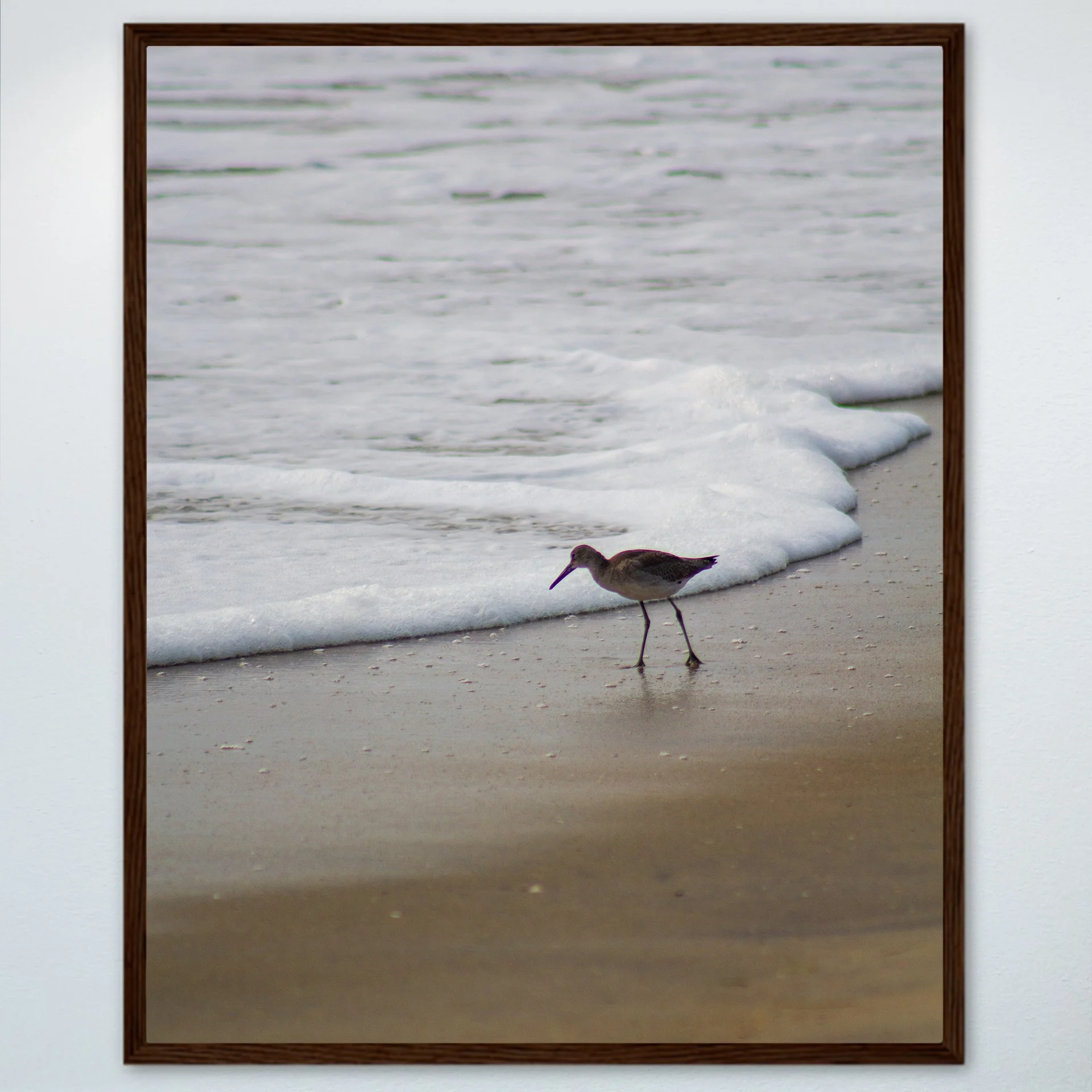 1:10 Willet at Beach Searching- Wood.jpg