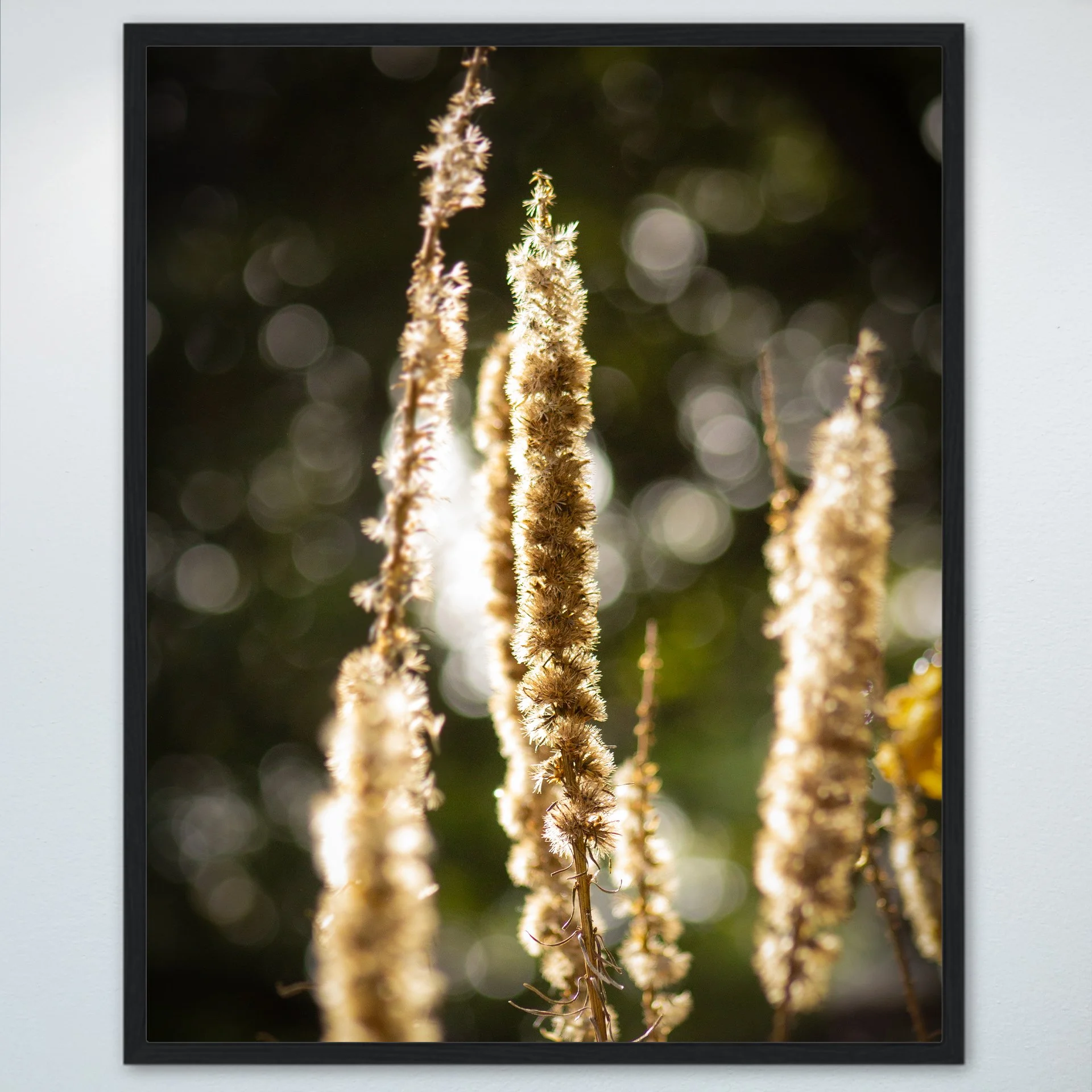1:1 Group of Foxgloves in Winter- Wood.jpg
