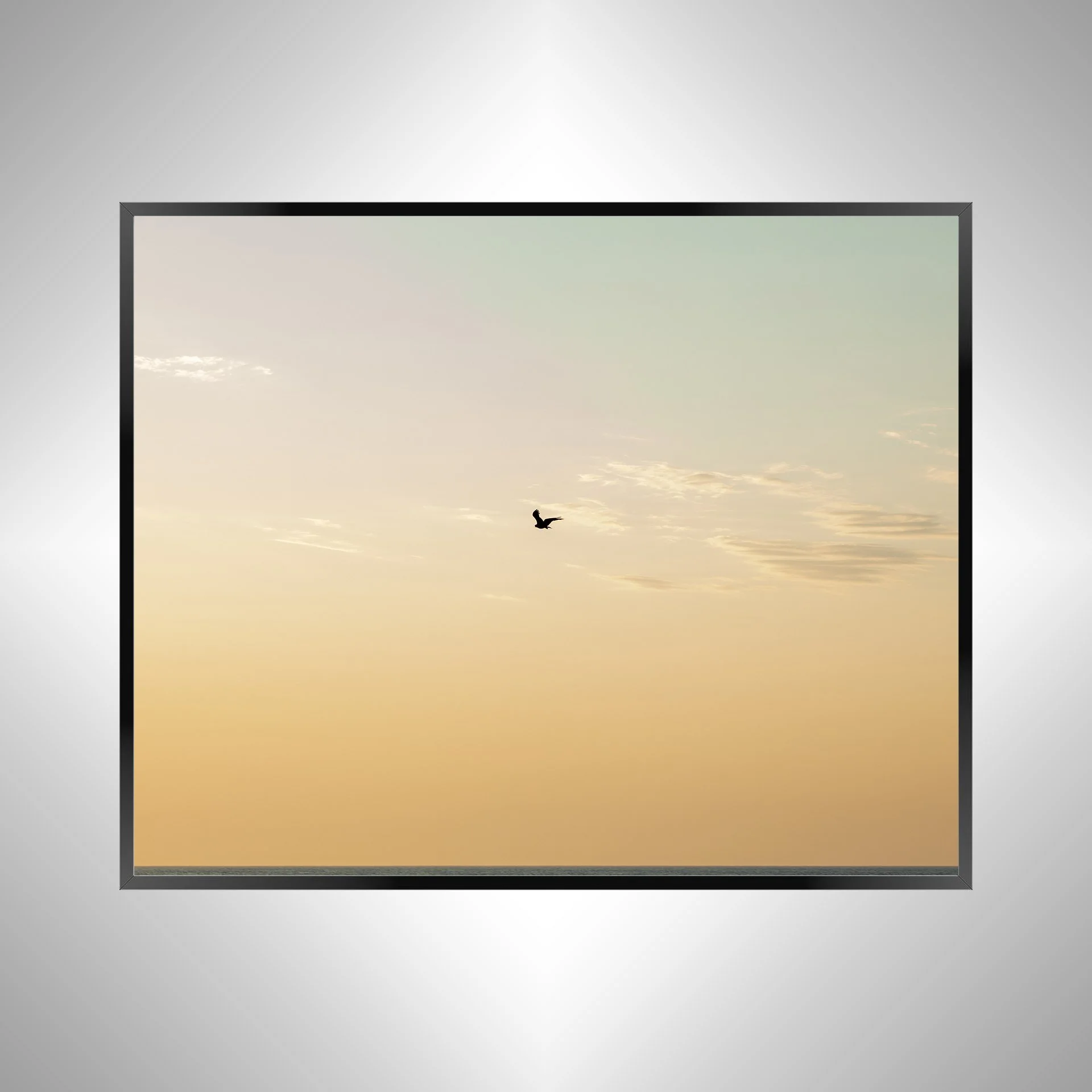 1/10 Golden Gull on Horizon