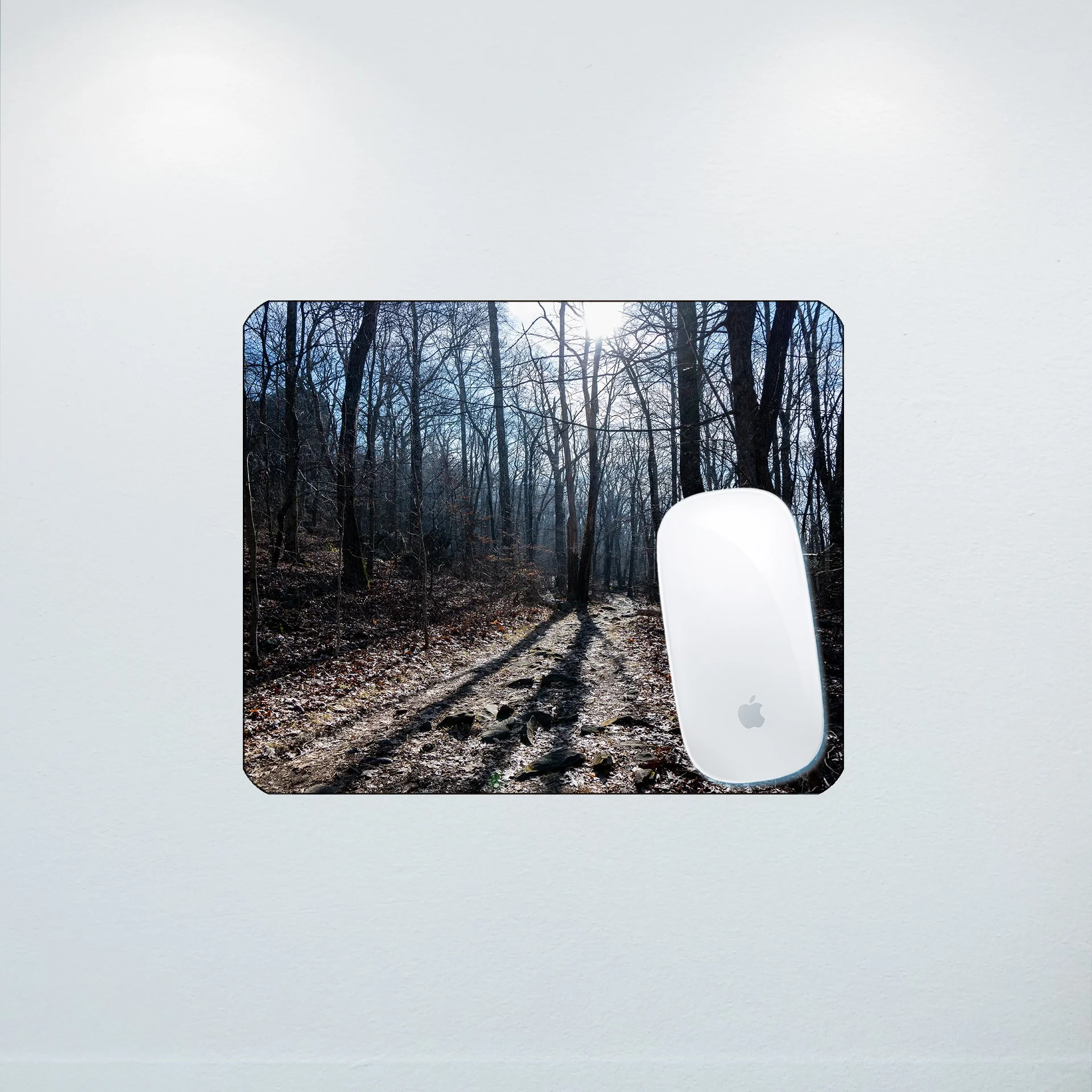 1:10 Shenandoah National Park Trail- Mouse Pad.jpg